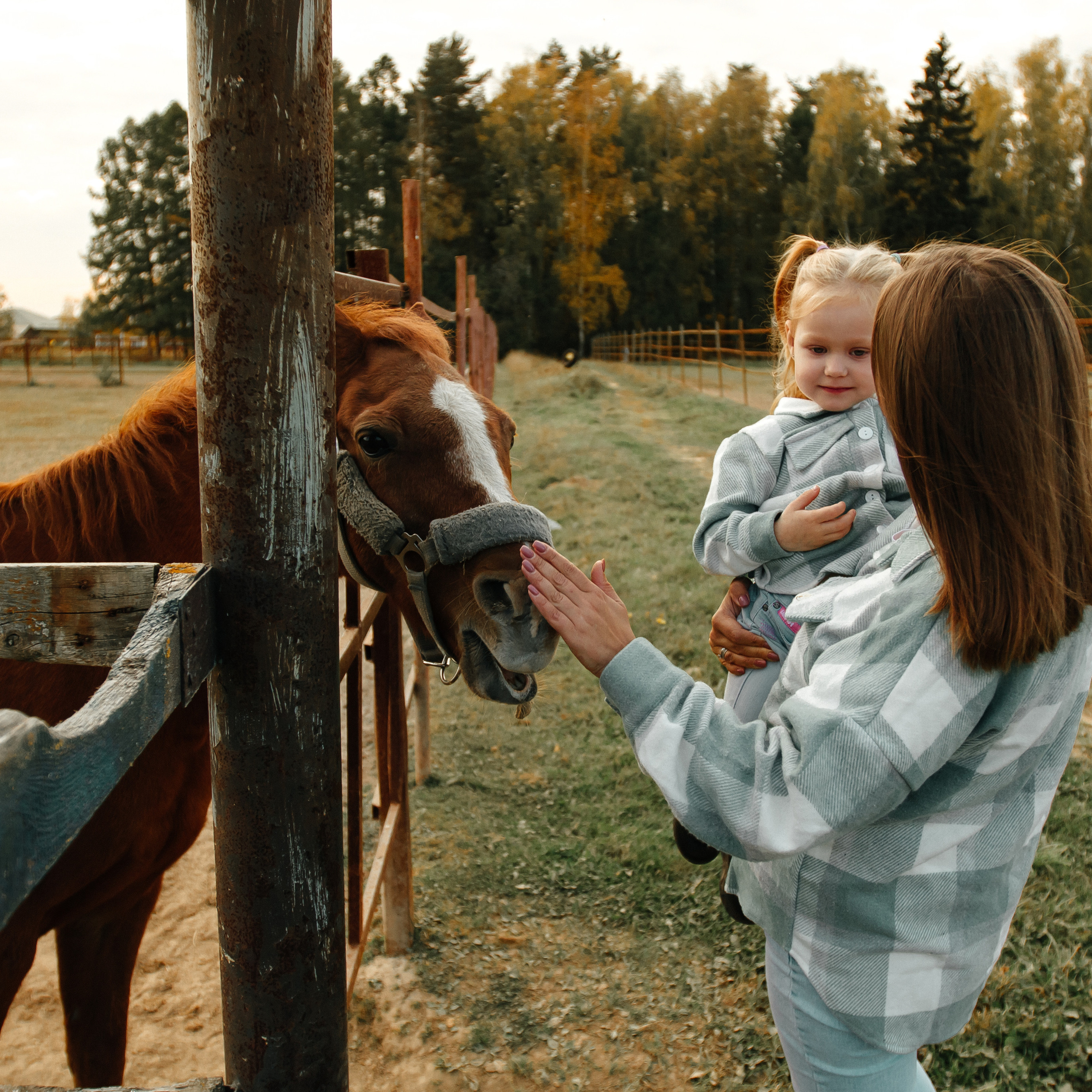 Осенняя прогулка
