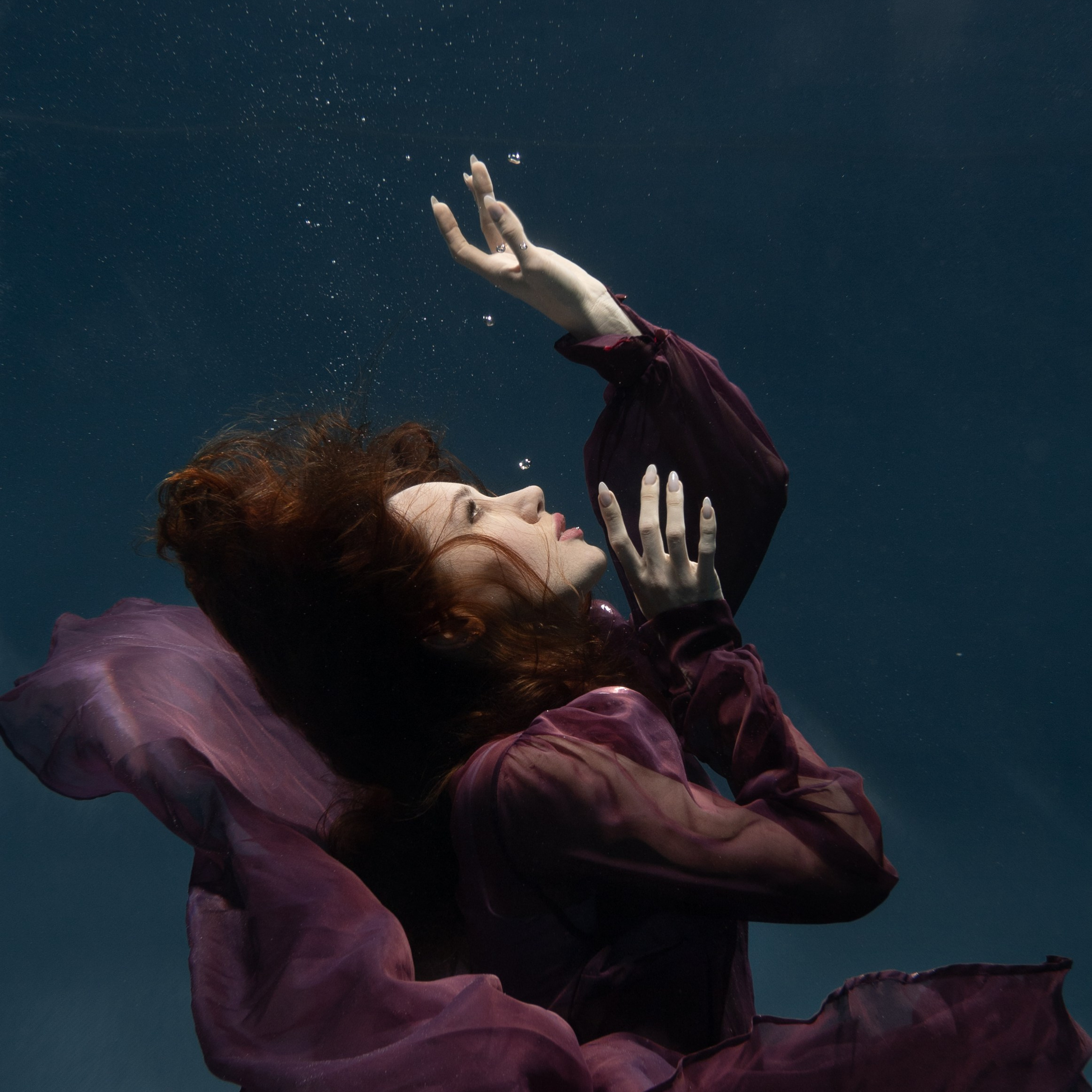 Отзывы. Портфолио