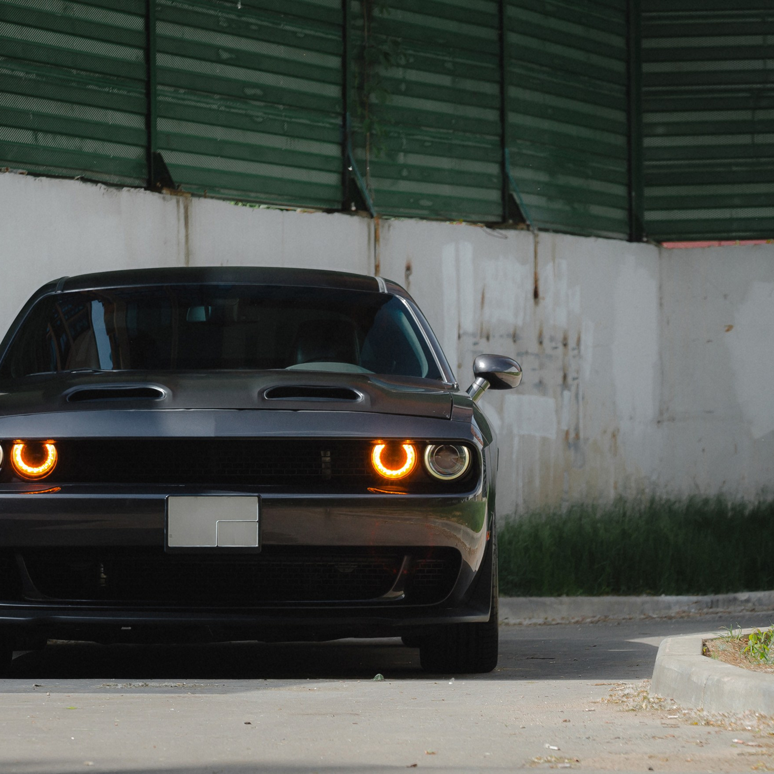 Dodge Challenger. Фотограф Дмитрий Питерский