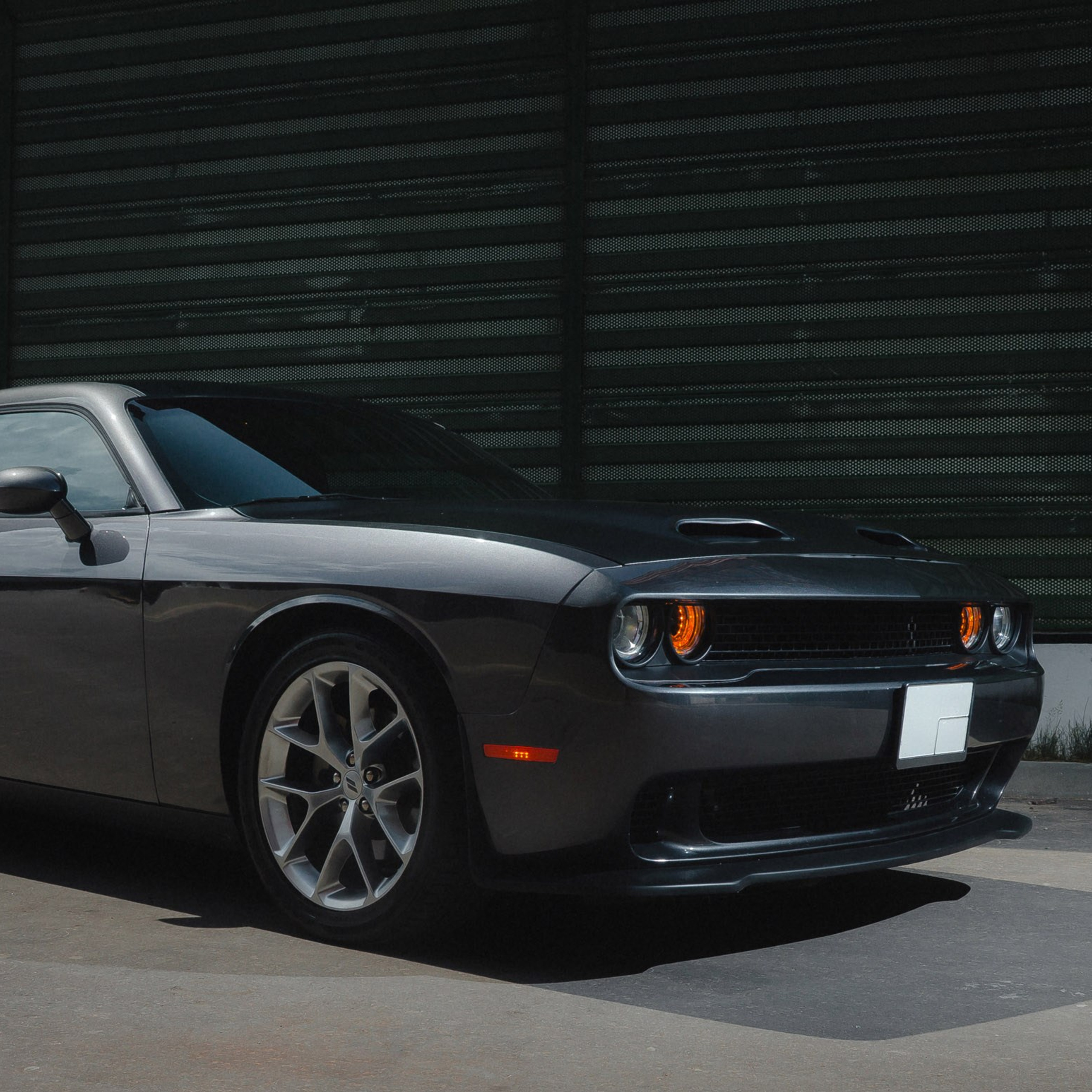 Dodge Challenger. Фотограф Дмитрий Питерский