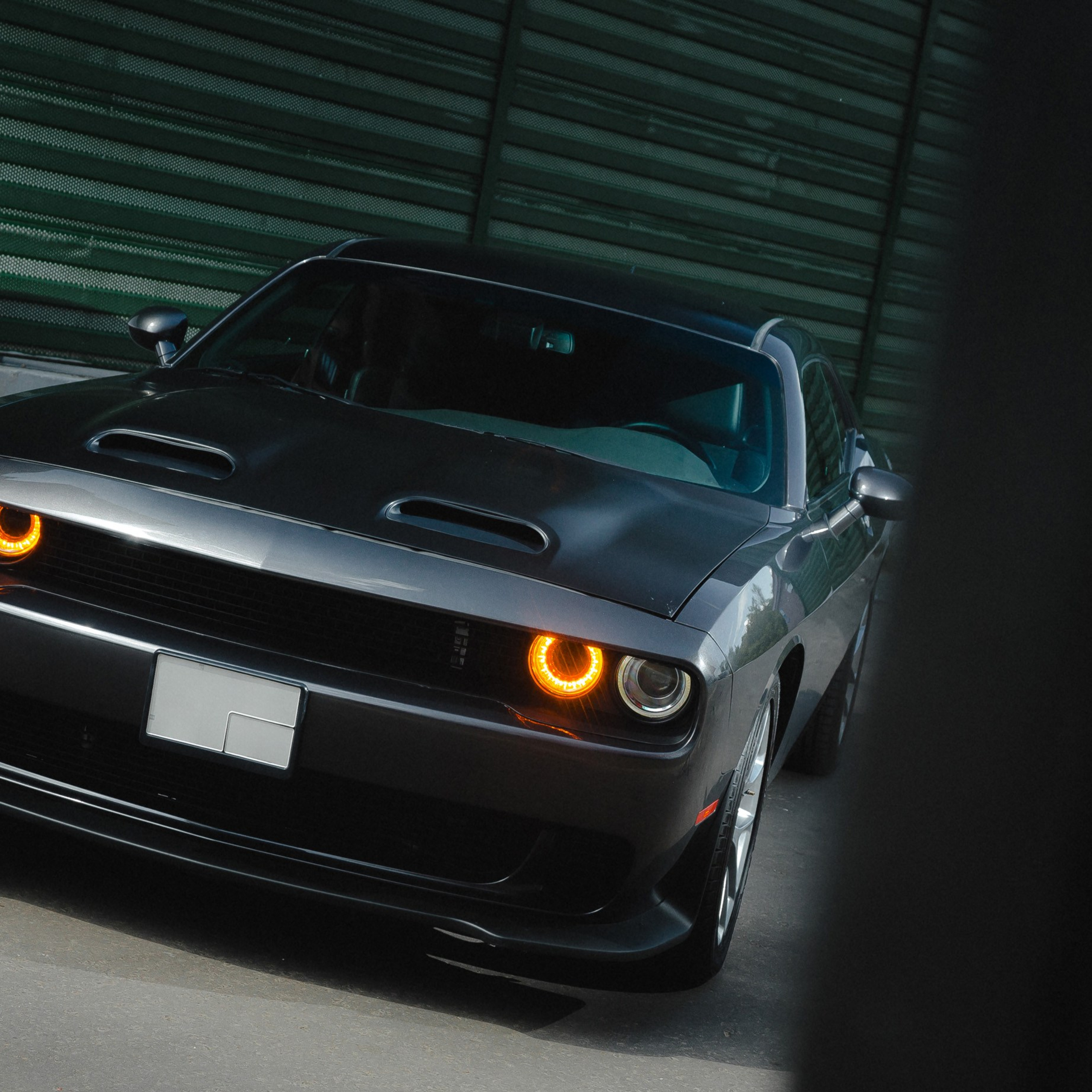 Dodge Challenger. Фотограф Дмитрий Питерский