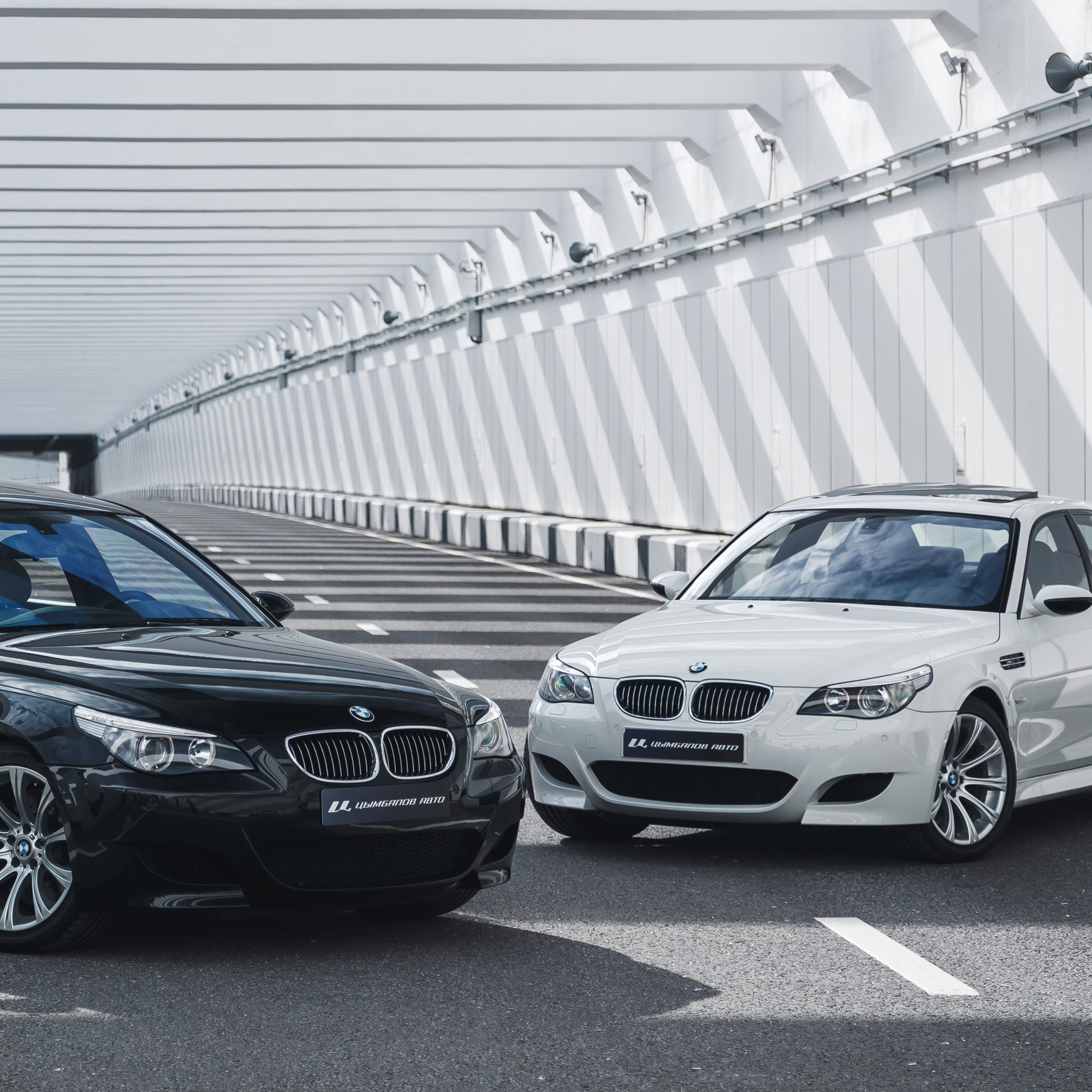 BMW M5×2. Фотограф Дмитрий Питерский