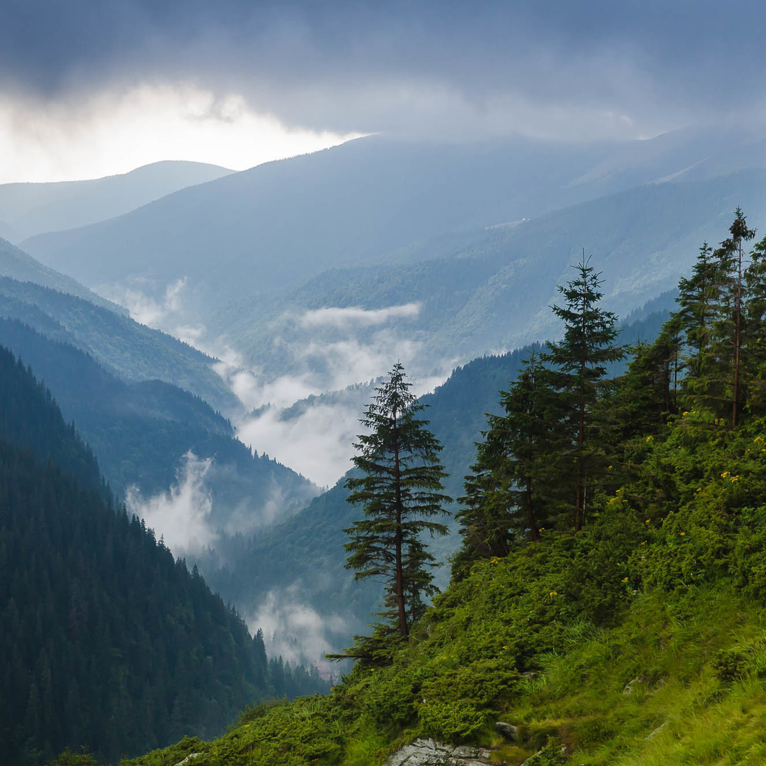 Путешествие в Румынию | Часть 2/4. Фотограф Дмитрий Питерский
