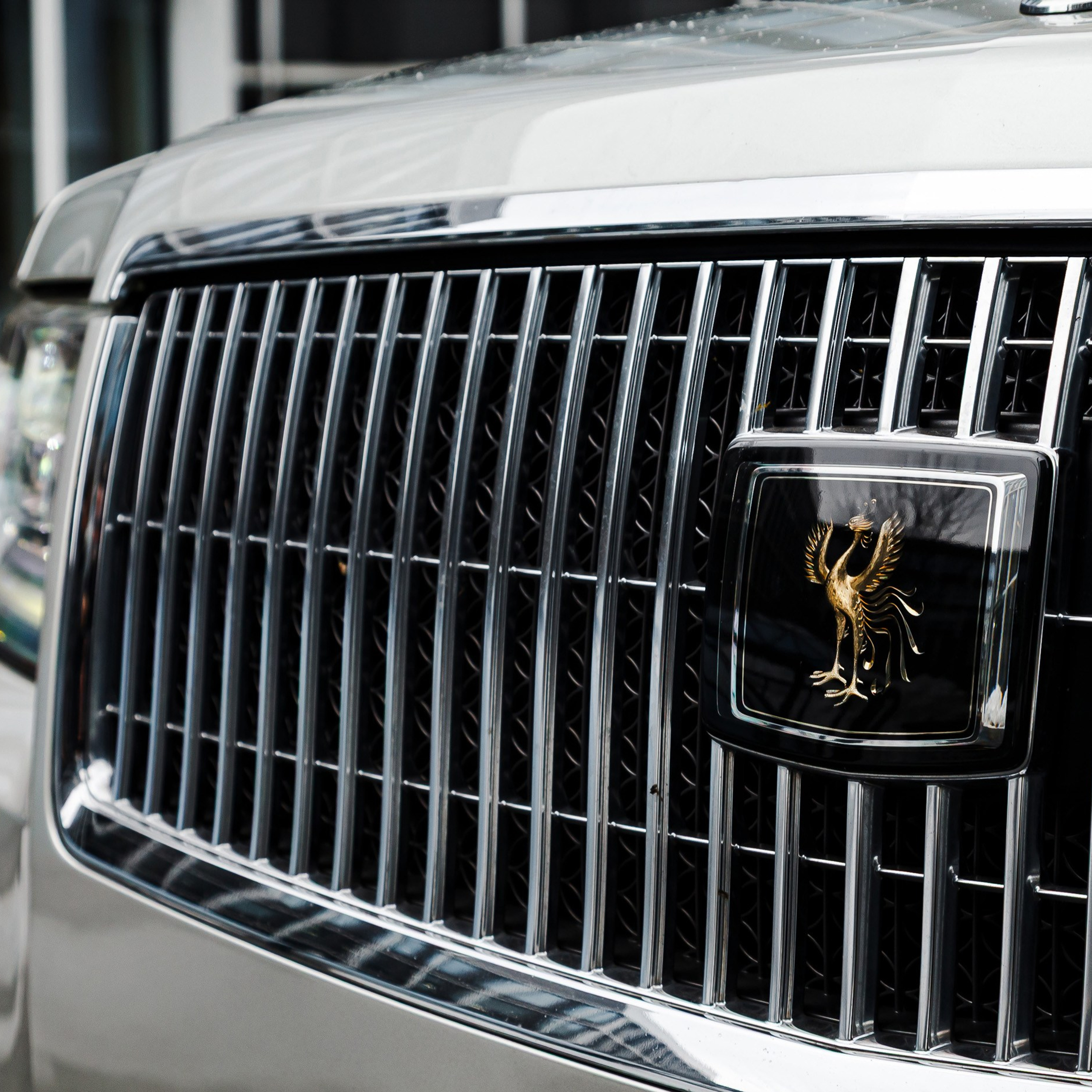 Toyota Century. Фотограф Дмитрий Питерский