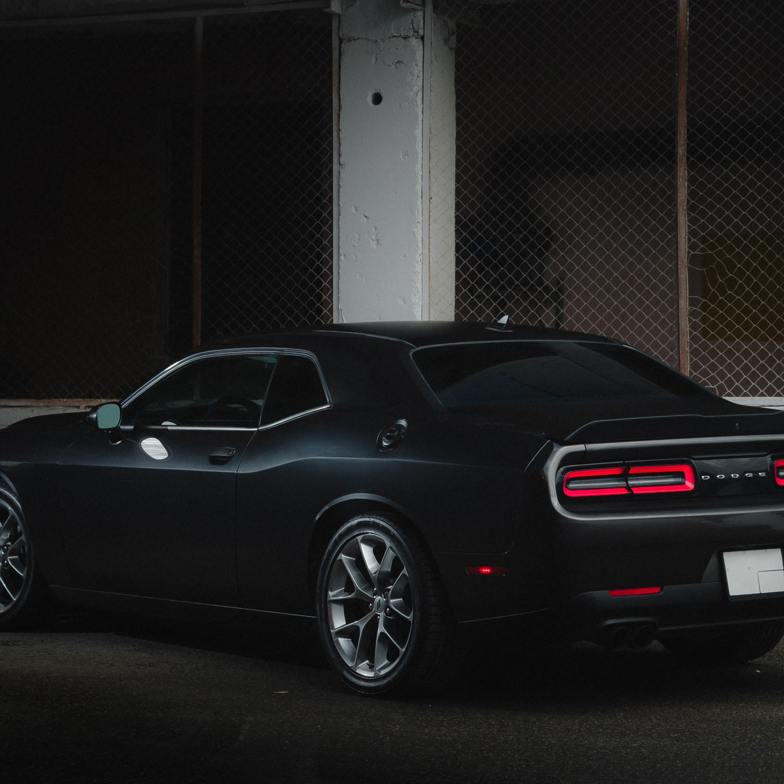 Dodge Challenger. Фотограф Дмитрий Питерский