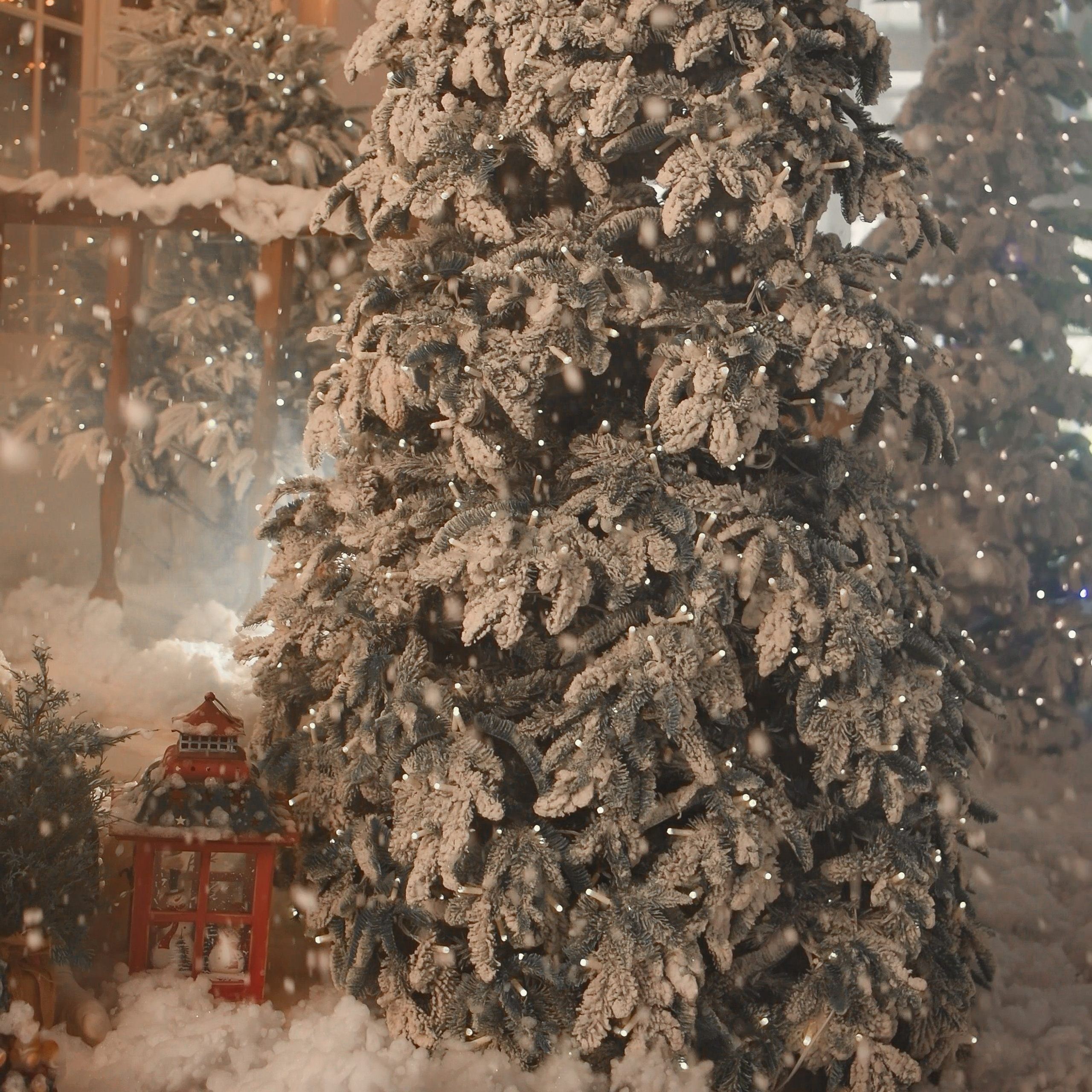 Фотопроект «НОВОГОДНЯЯ СКАЗКА». Фотохудожник Нина Жихарева