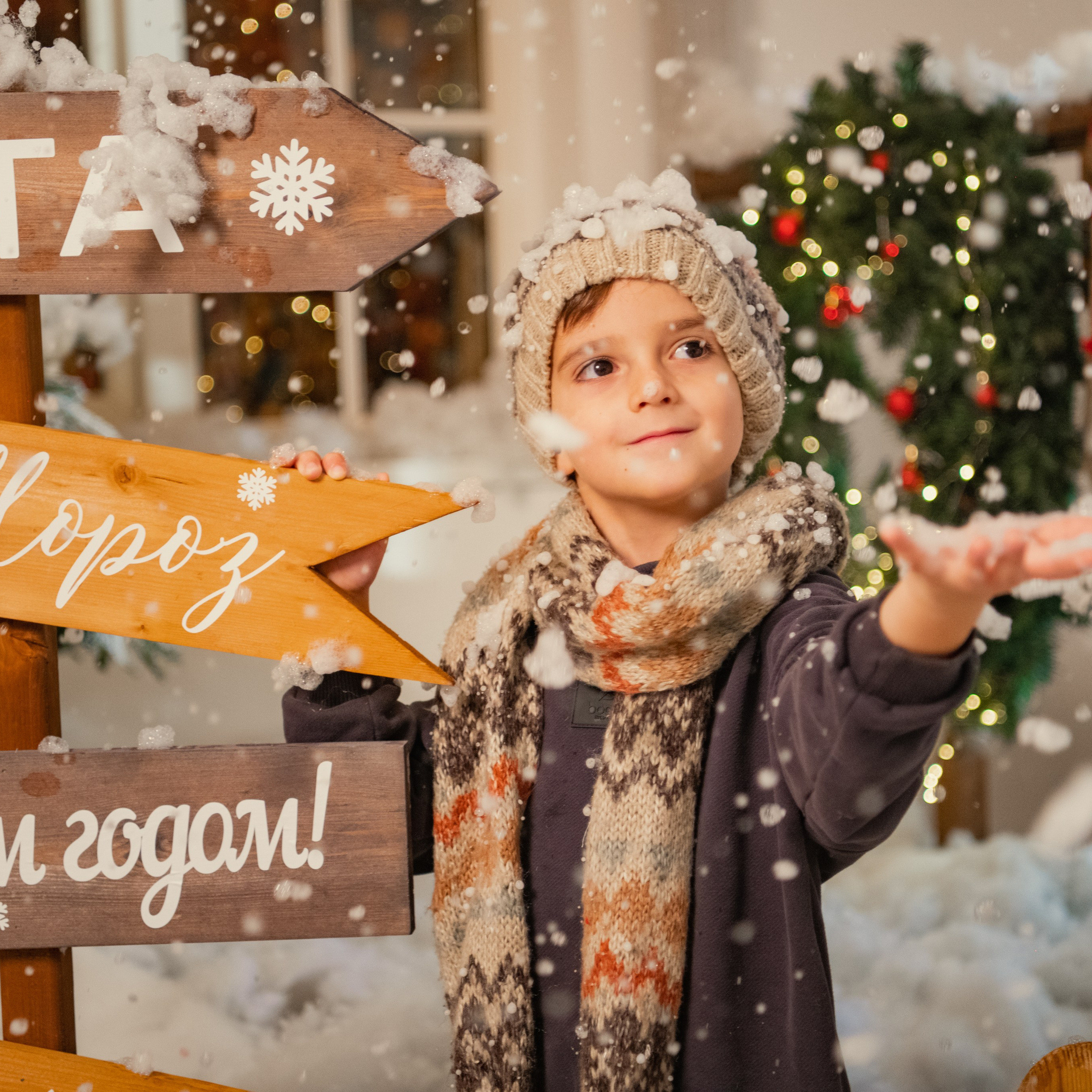 Фотопроект «НОВОГОДНЯЯ СКАЗКА». Фотохудожник Нина Жихарева