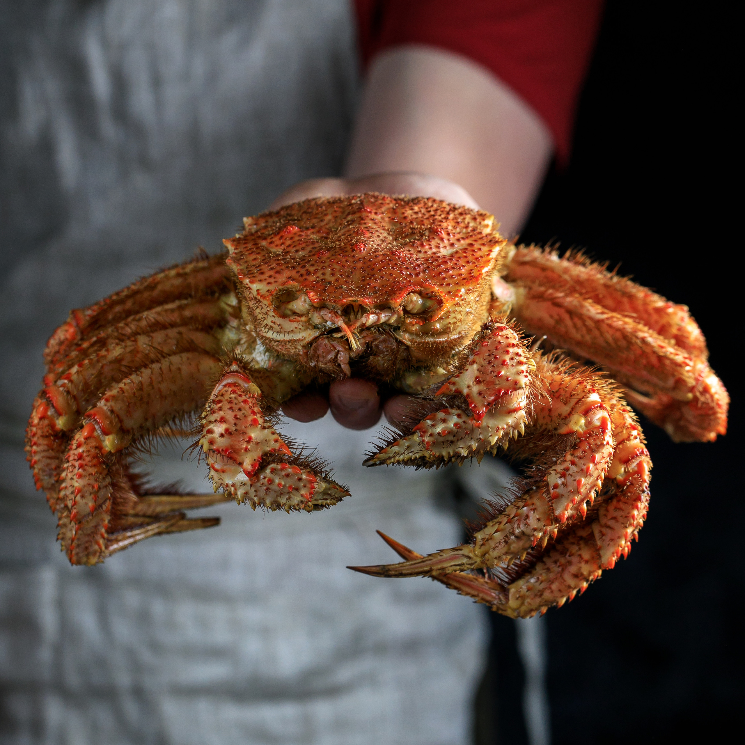 Отзывы. Фотограф Лукьянов Виталий Тульская область