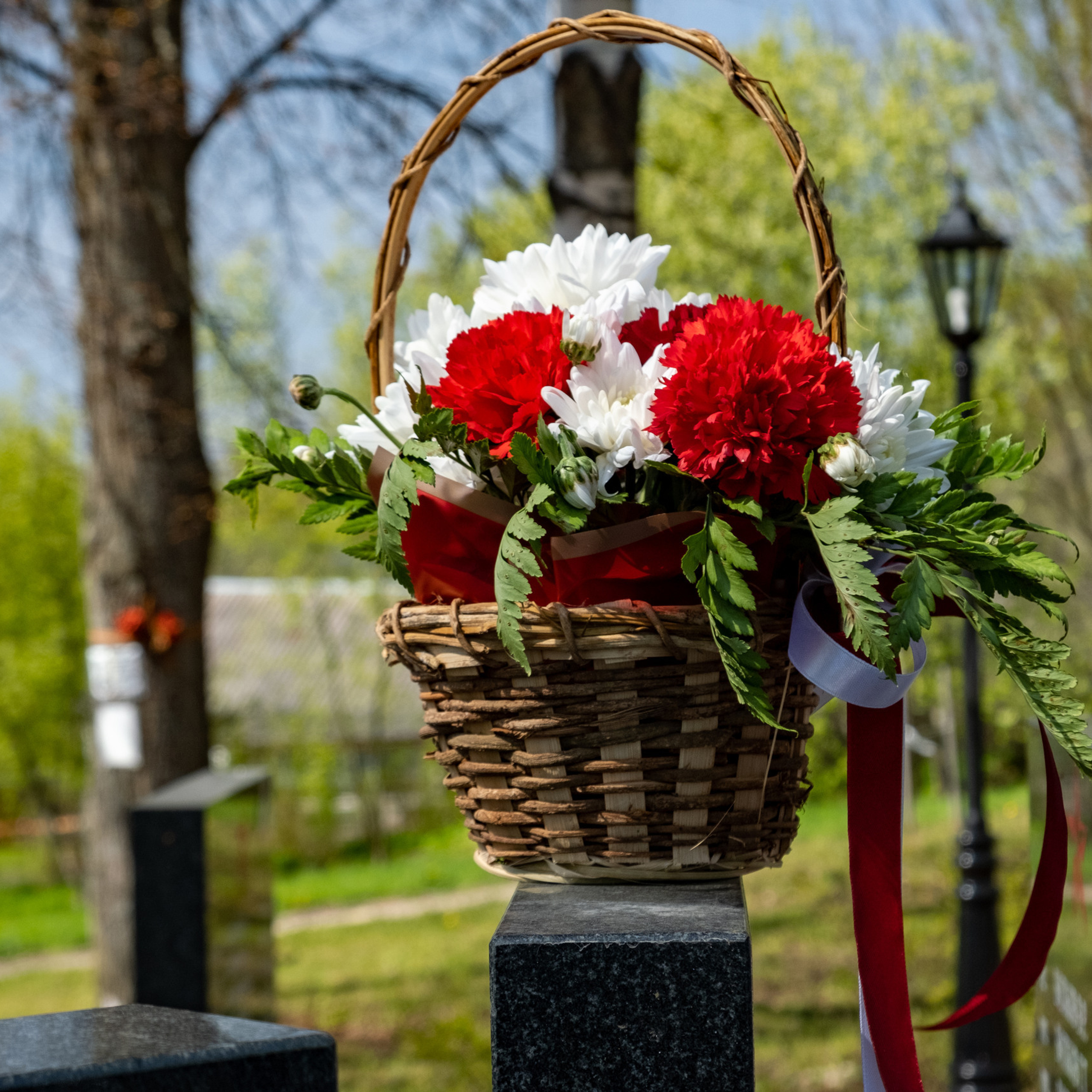 Отзывы. Фото-видео студия Владимира Разумова RazumovFilms