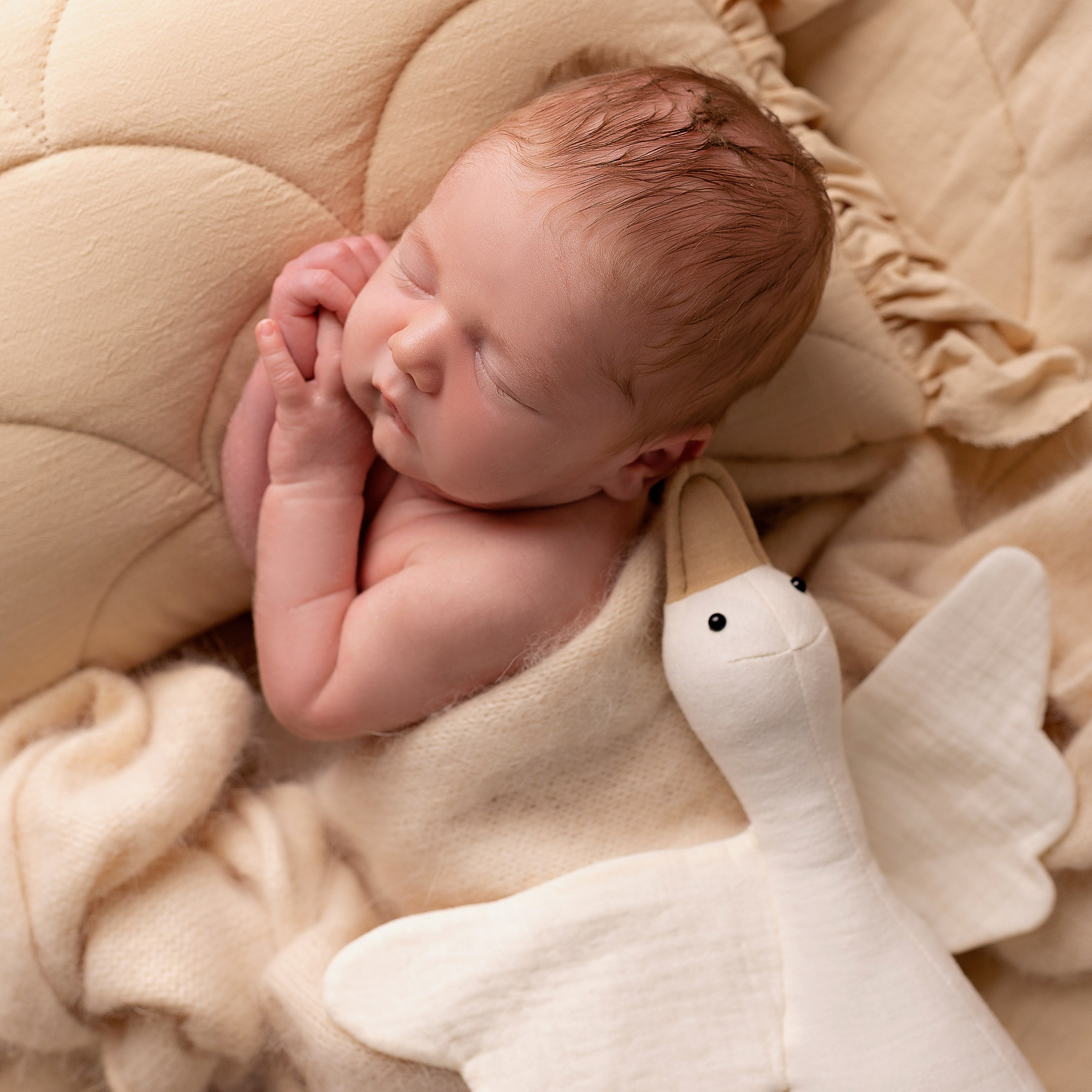 Фотограф новорожденных и детский фотограф в городе Иваново