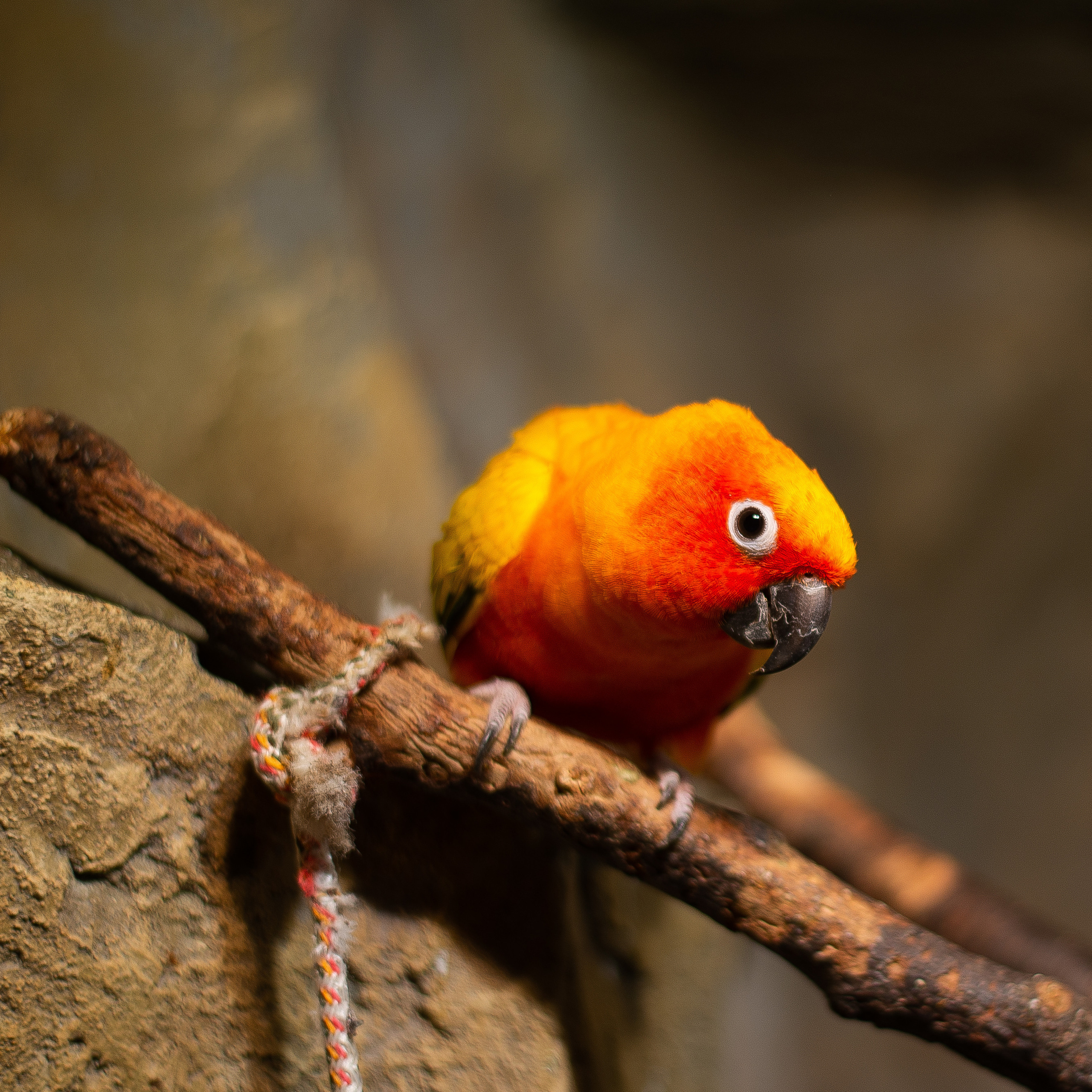 Отзывы. Фотограф в Краснодаре Марина Курбанова