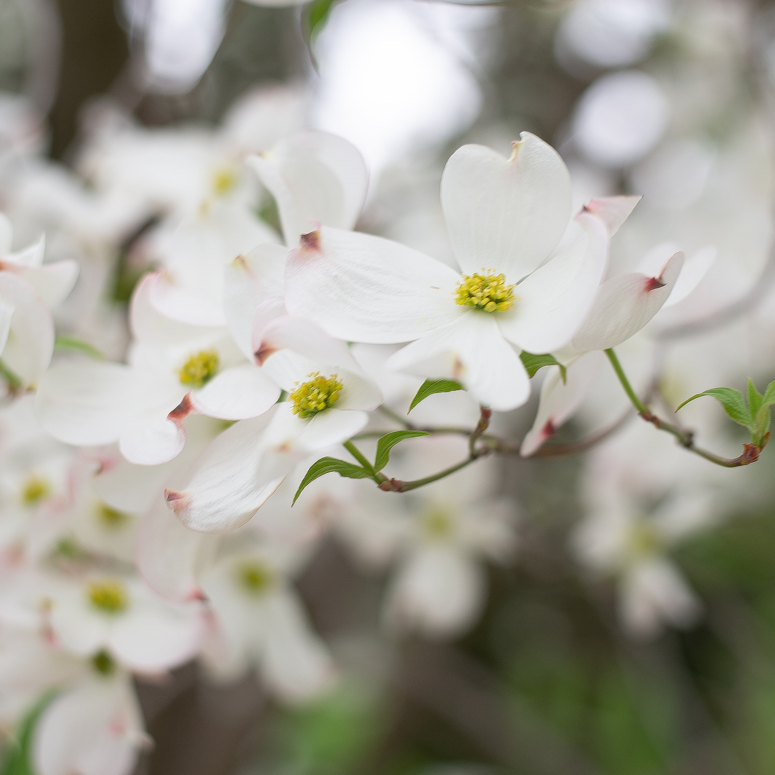 Отзывы. Фотограф в Краснодаре Марина Курбанова
