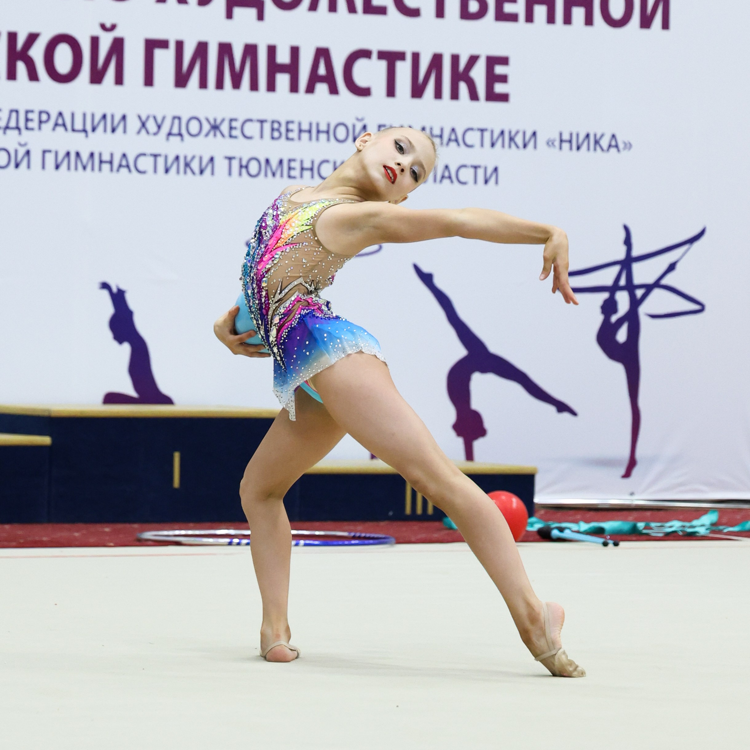 Открытый турнир по&nbsp;художественной и&nbsp;эстетической гимнастике. 24.10.2026
