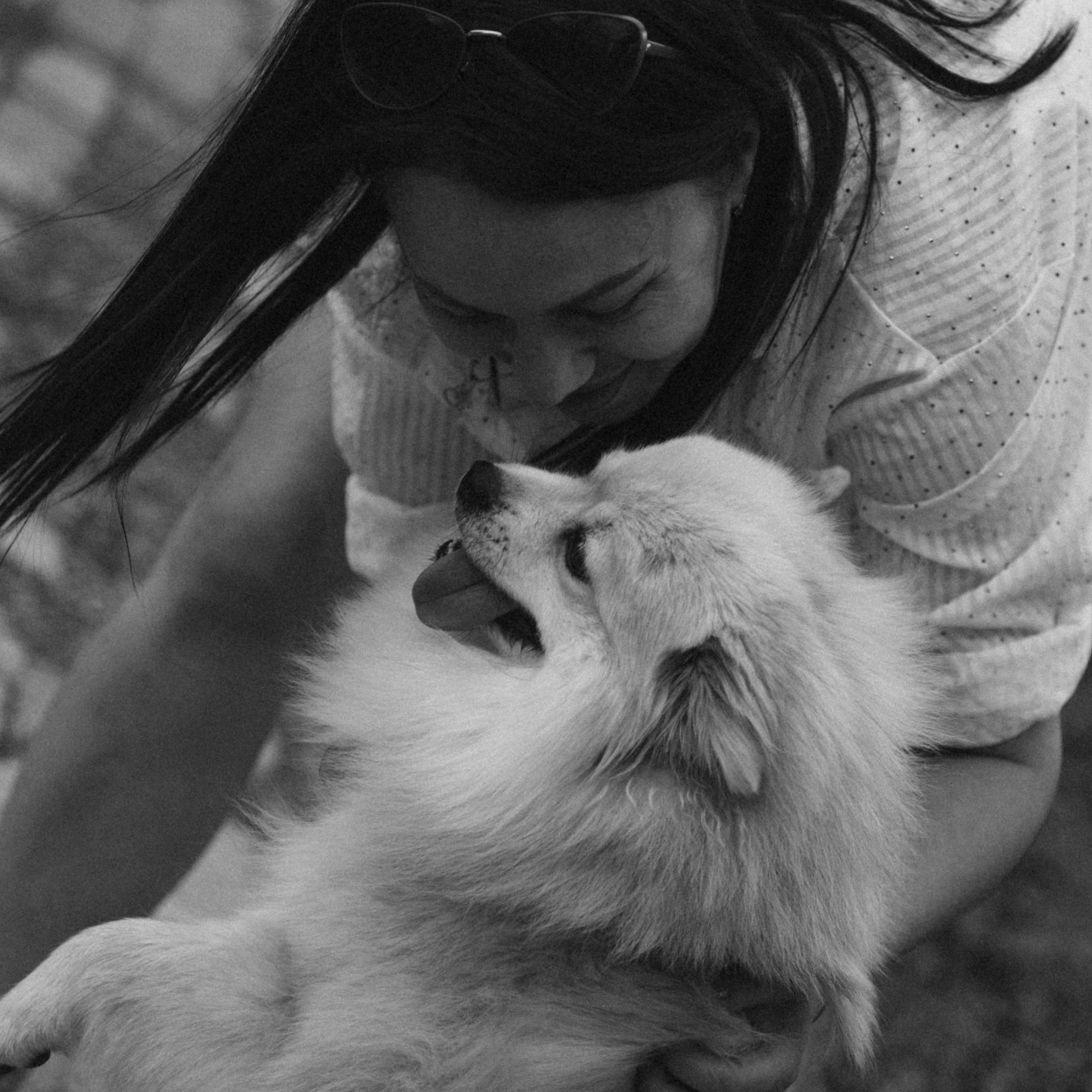 Любовь к животным