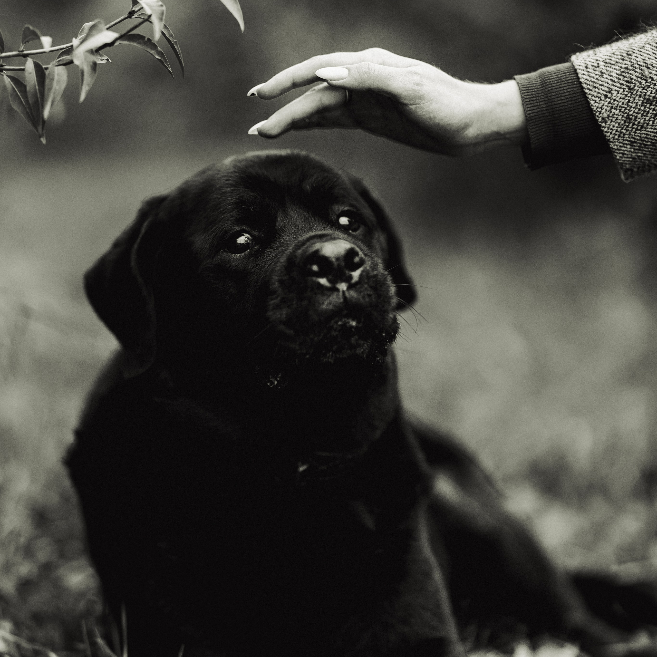 Маша и Лель