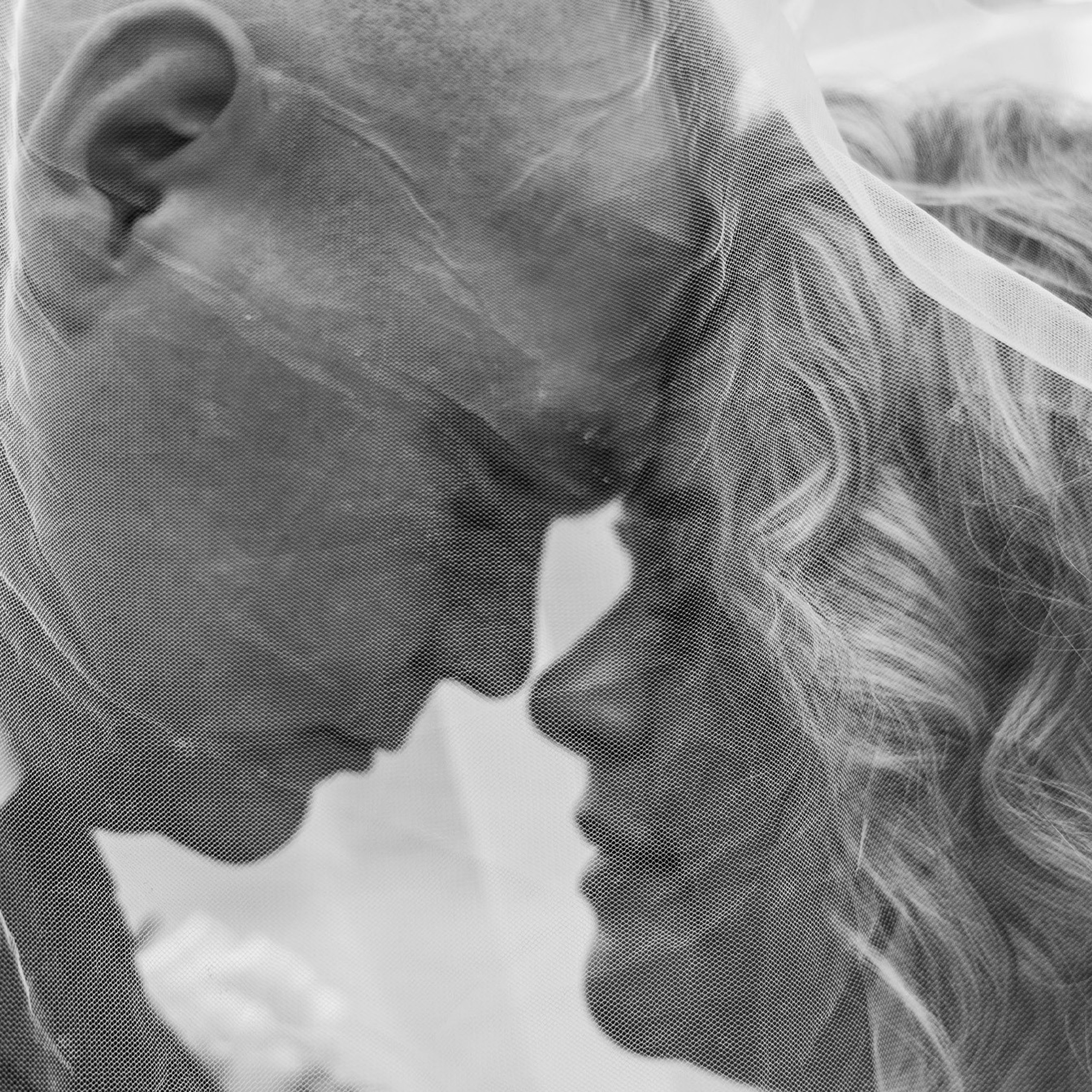 Отзывы. Photoduet «Contrast»