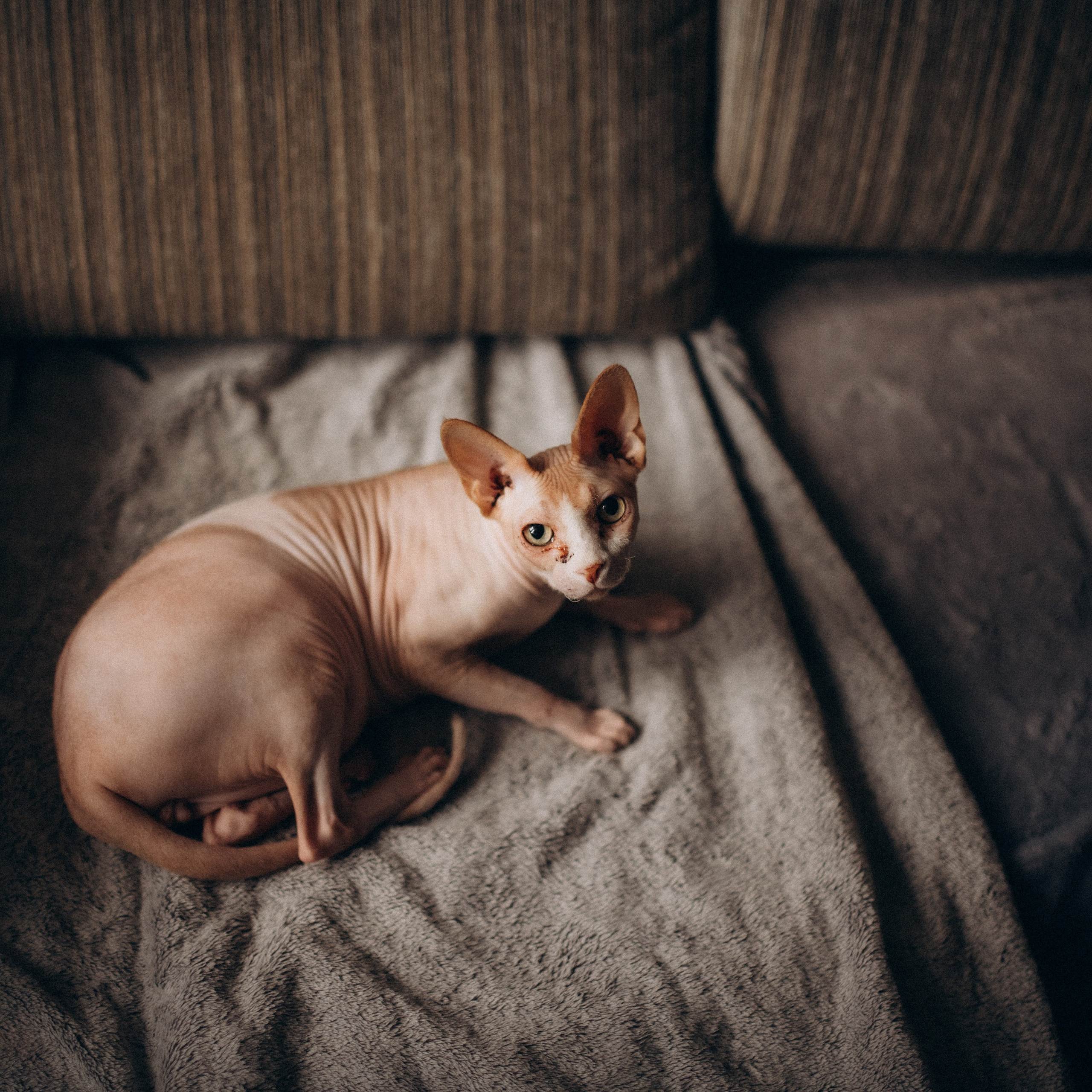 Отзывы о детском фотографе Елене Красилиной. Профессиональный фотограф Елена Красилина г.Ярославль, г. Рыбинск