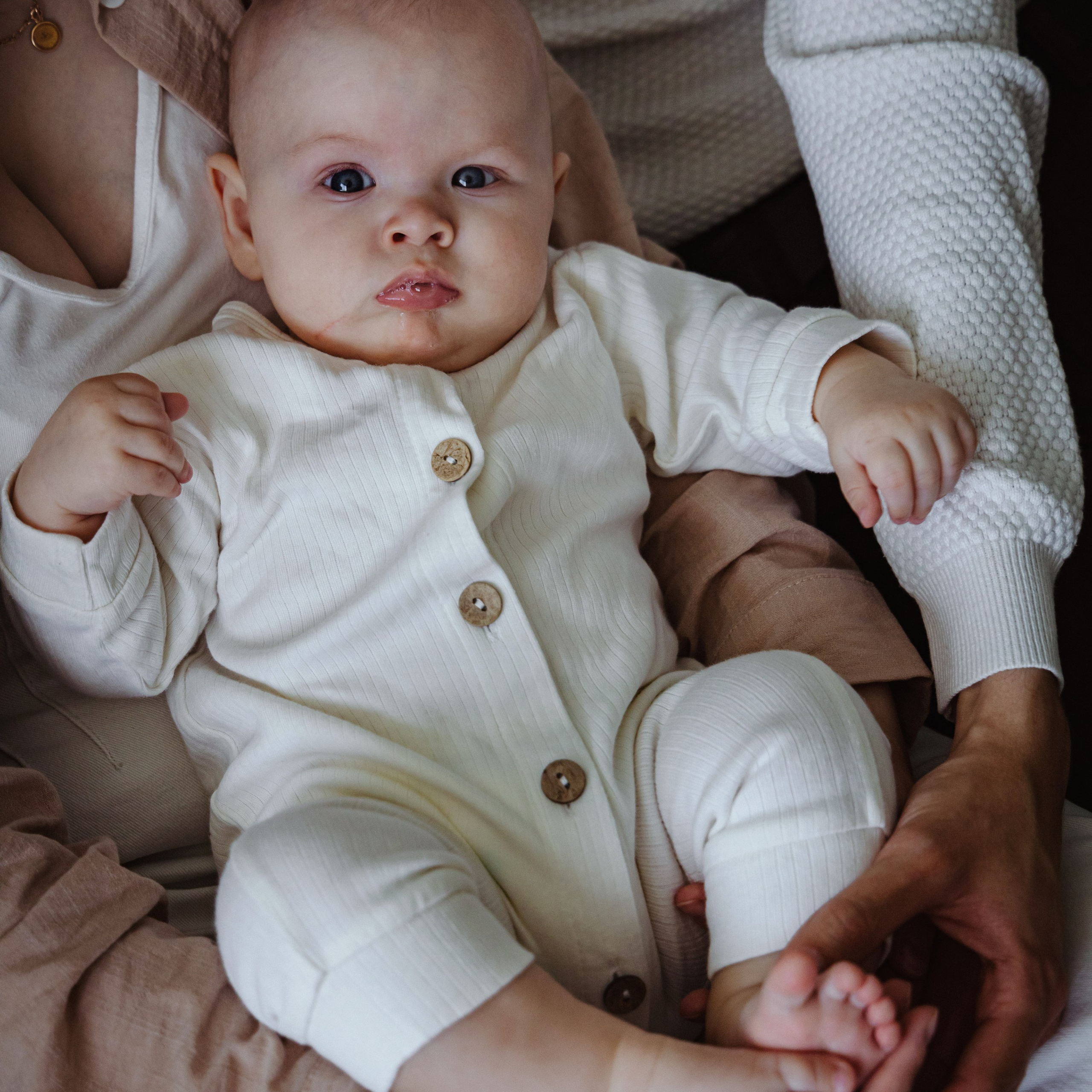 Домашняя История № 1