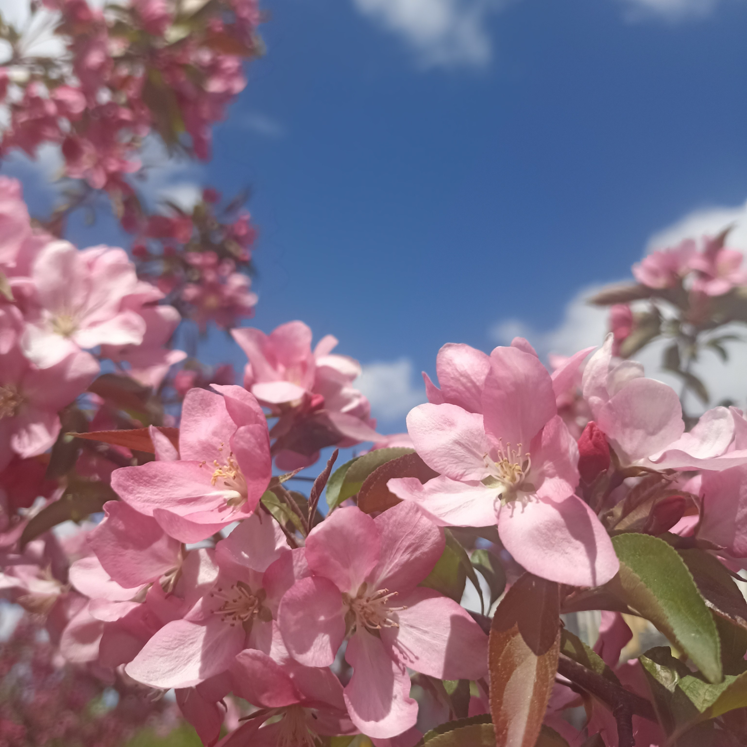 Отзывы. Фотограф на Крещение. Семейный фотограф. Москва
