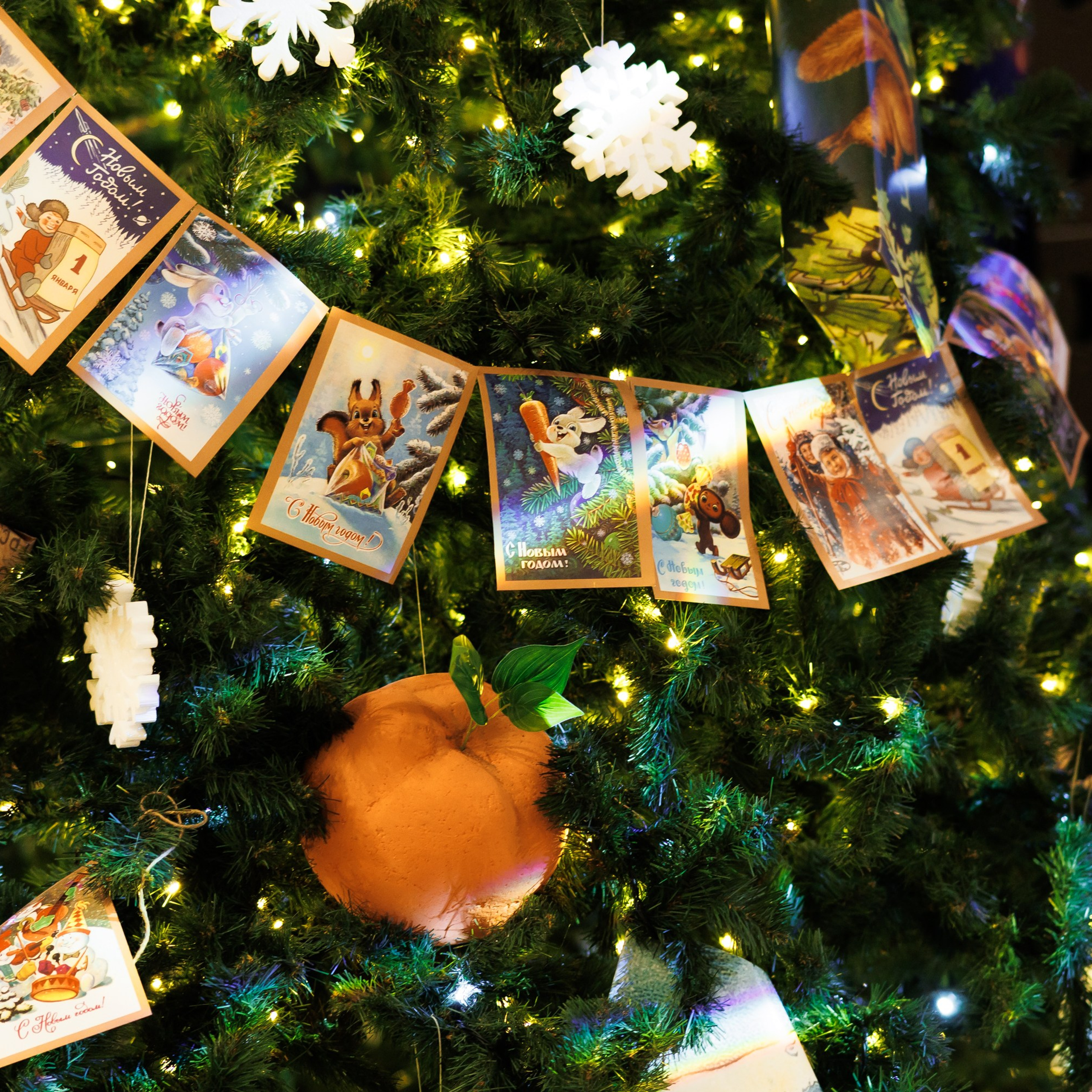 Отзывы. Репортажный и спортивный фотограф в Екатеринбурге, а также городах России — Алексей Колчин