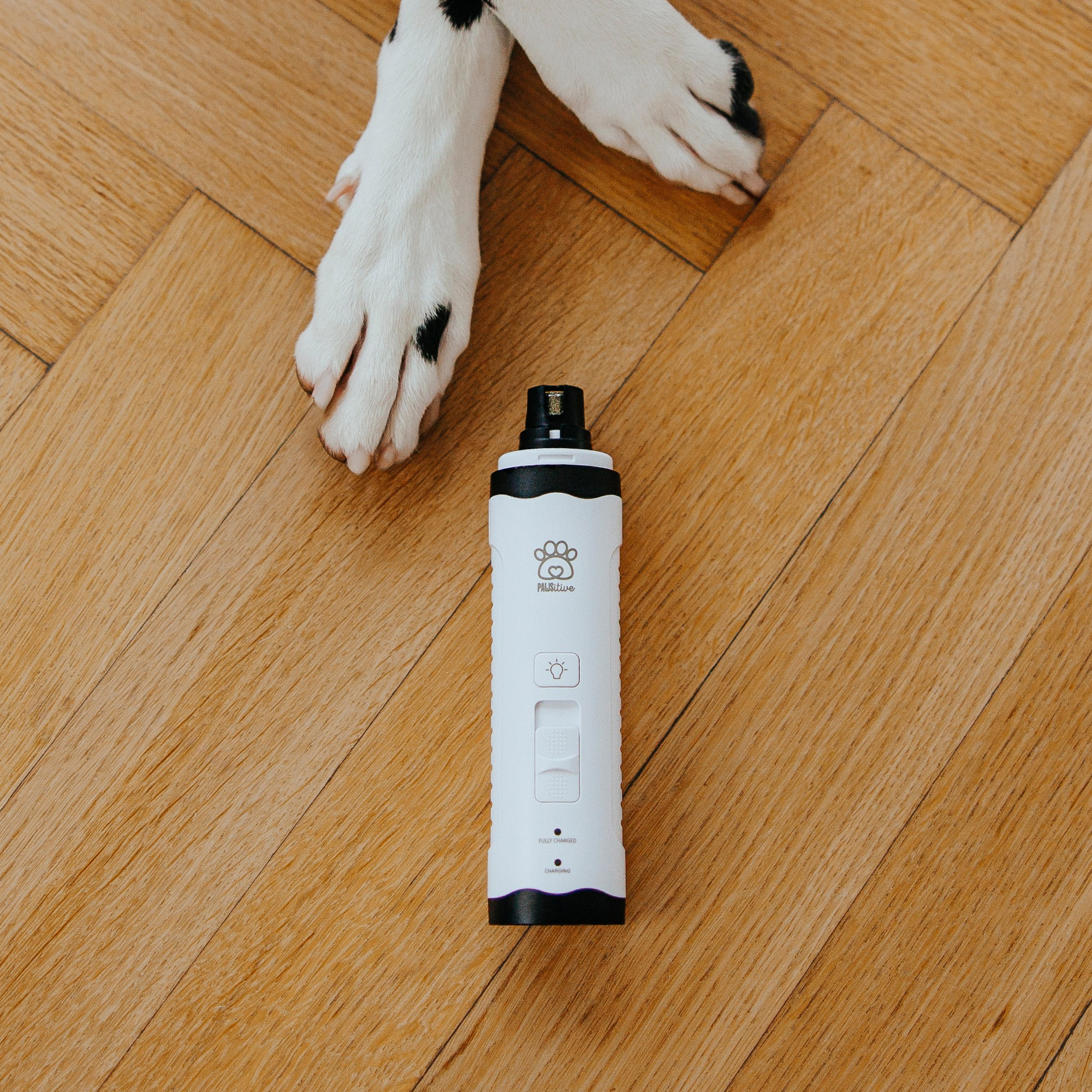 Pawsitive, товары для груминга, поилки