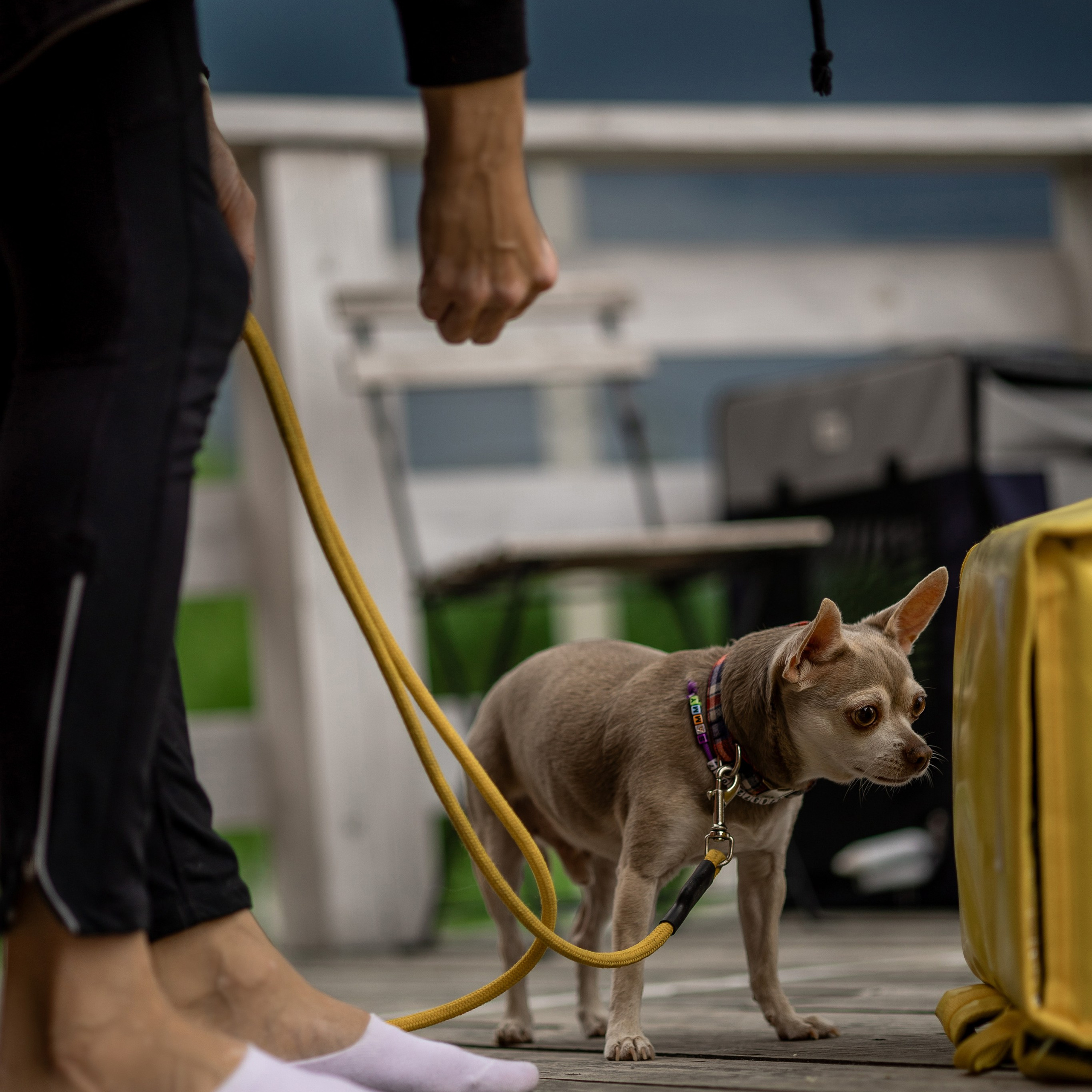 Репортаж по Ноузворку