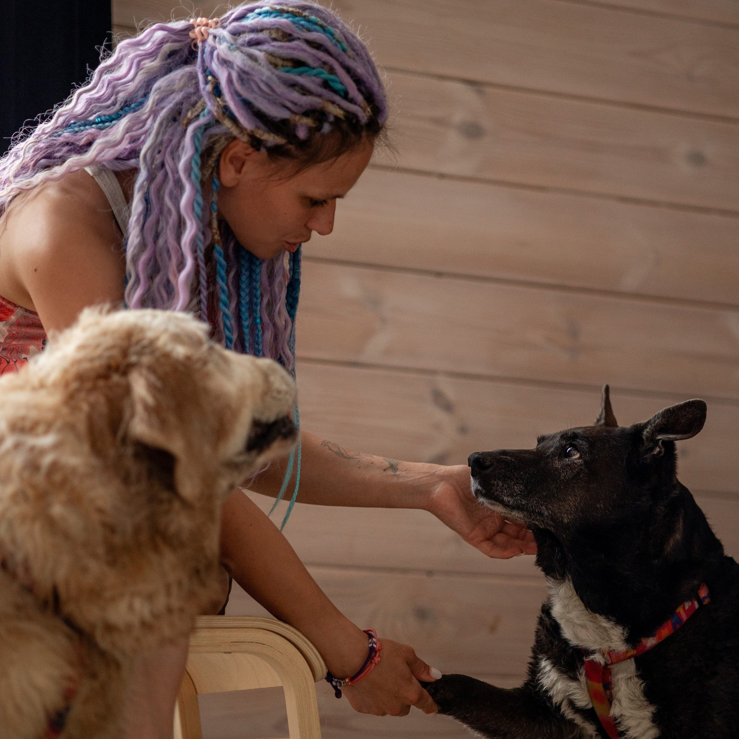 Отзывы фотограф-анималист Анастасия Белаш. Анастасия Белаш