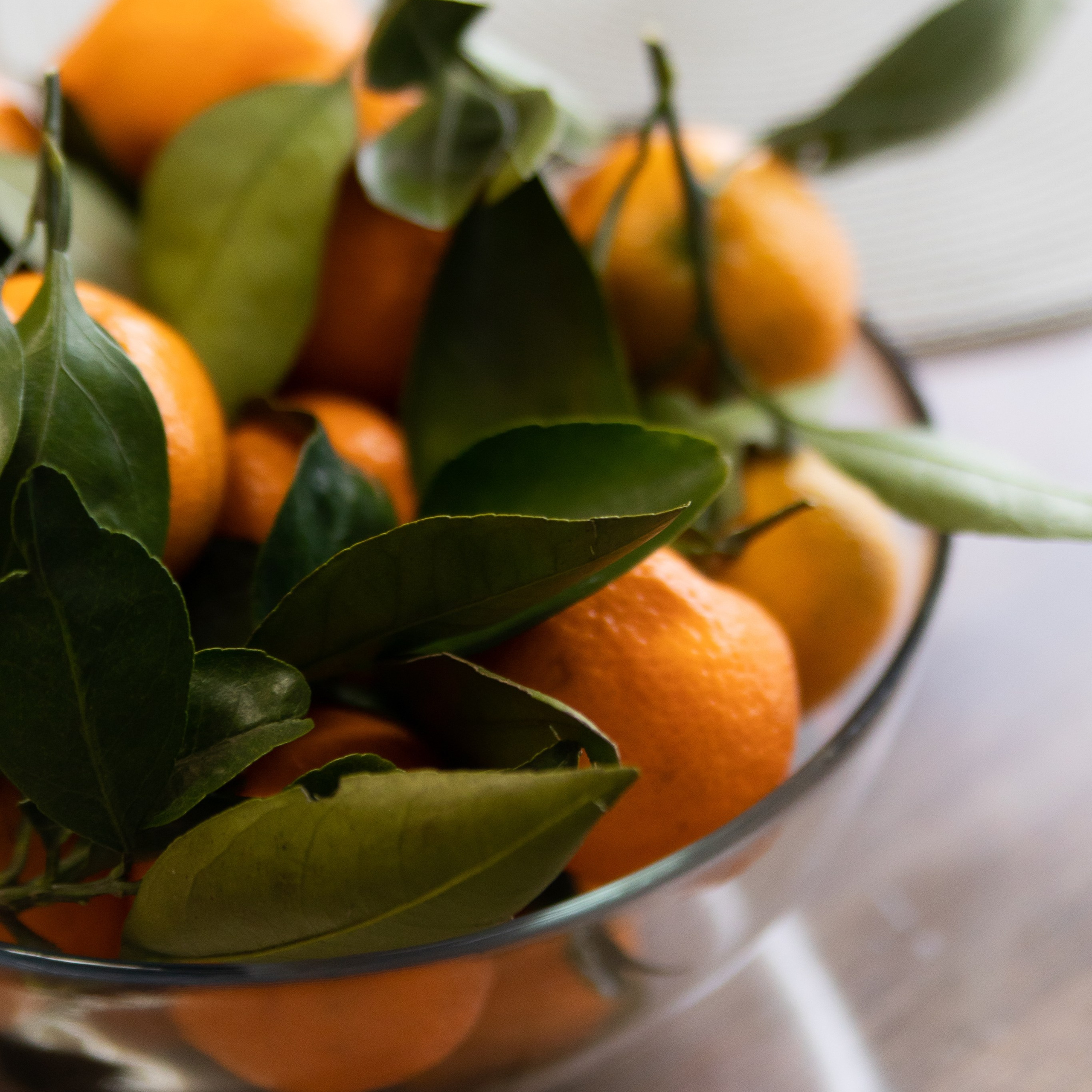 Отзывы. Профессиональный фотограф Майя Истомина