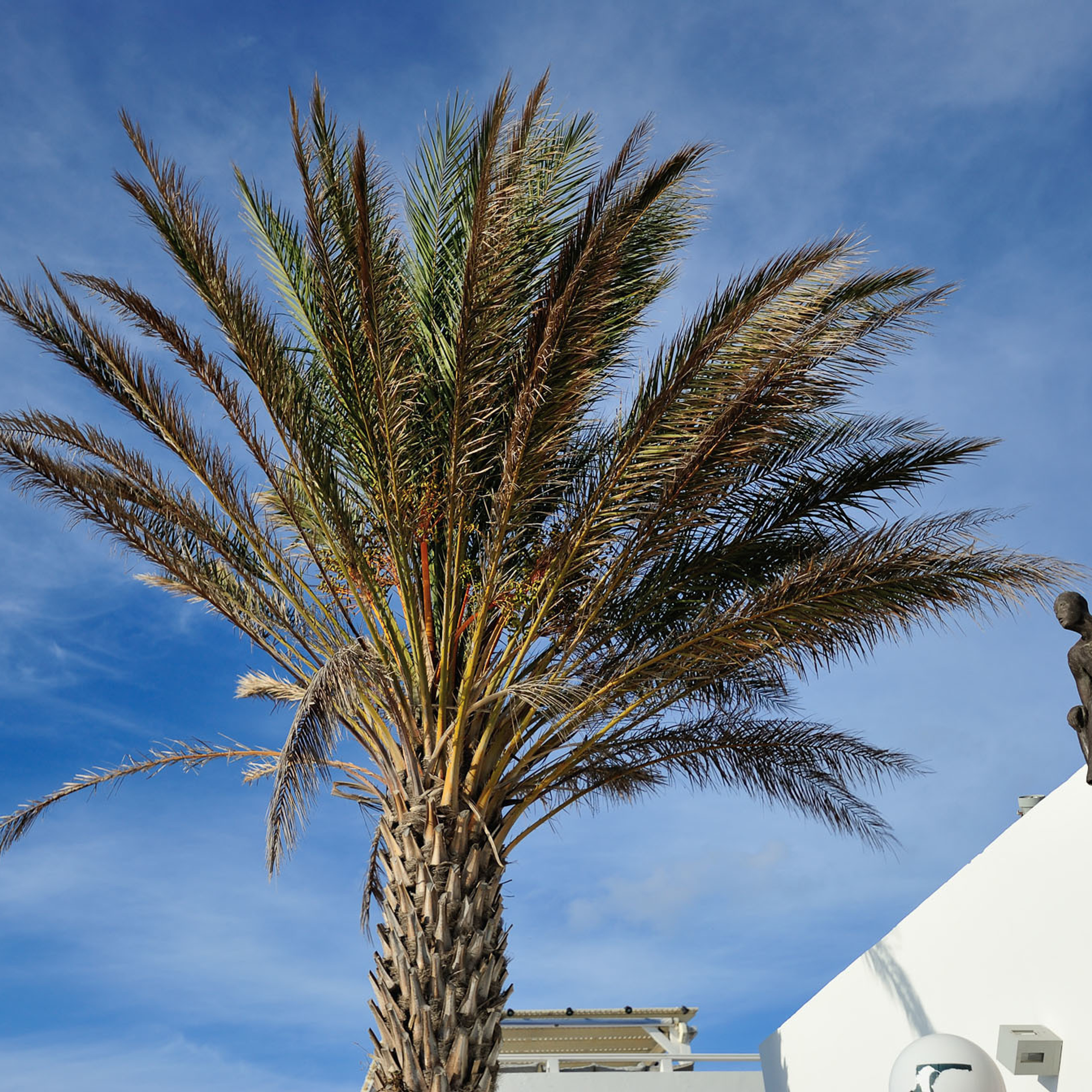 Свадебный фотограф Москва Альберт Хаиров