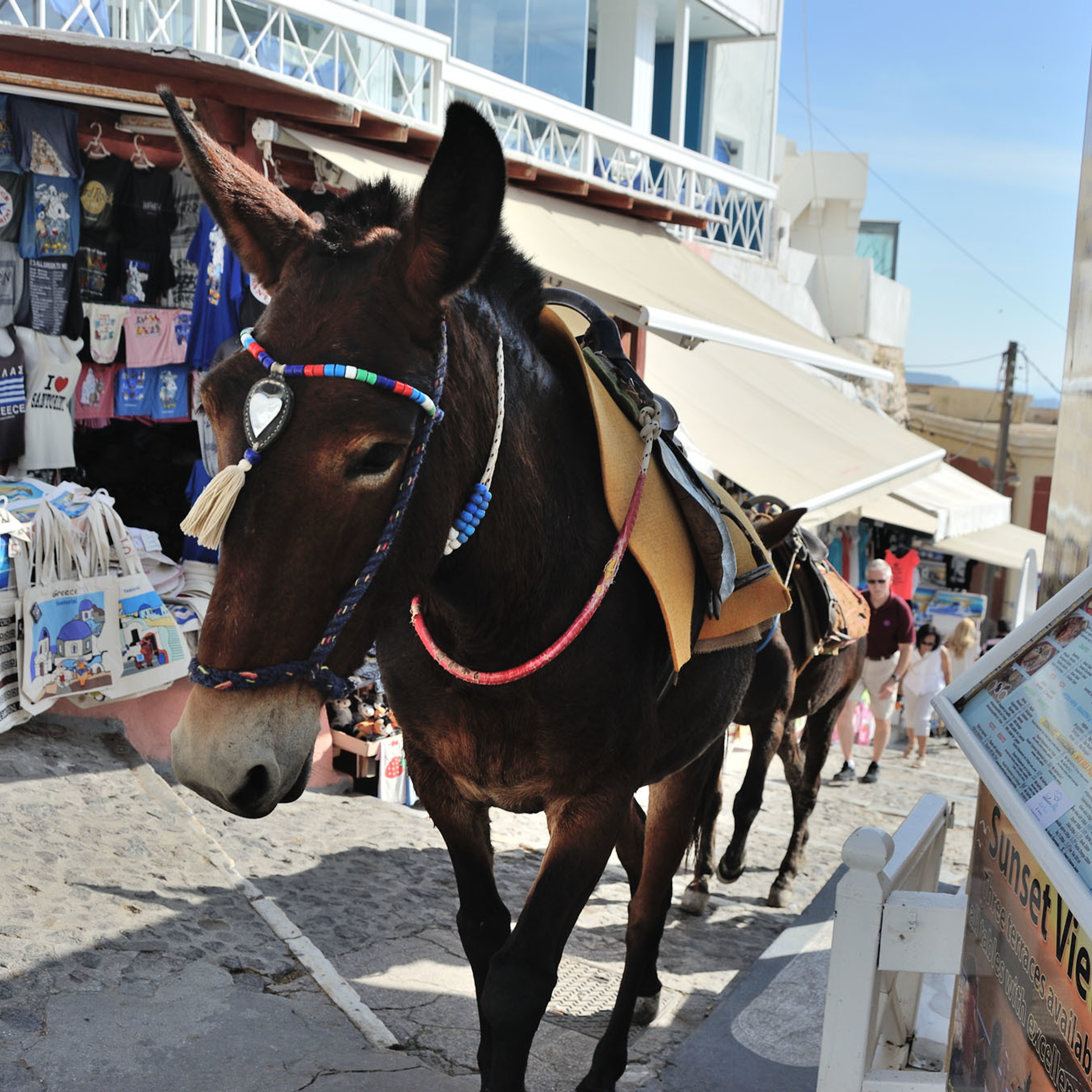 Свадебный фотограф Москва Альберт Хаиров
