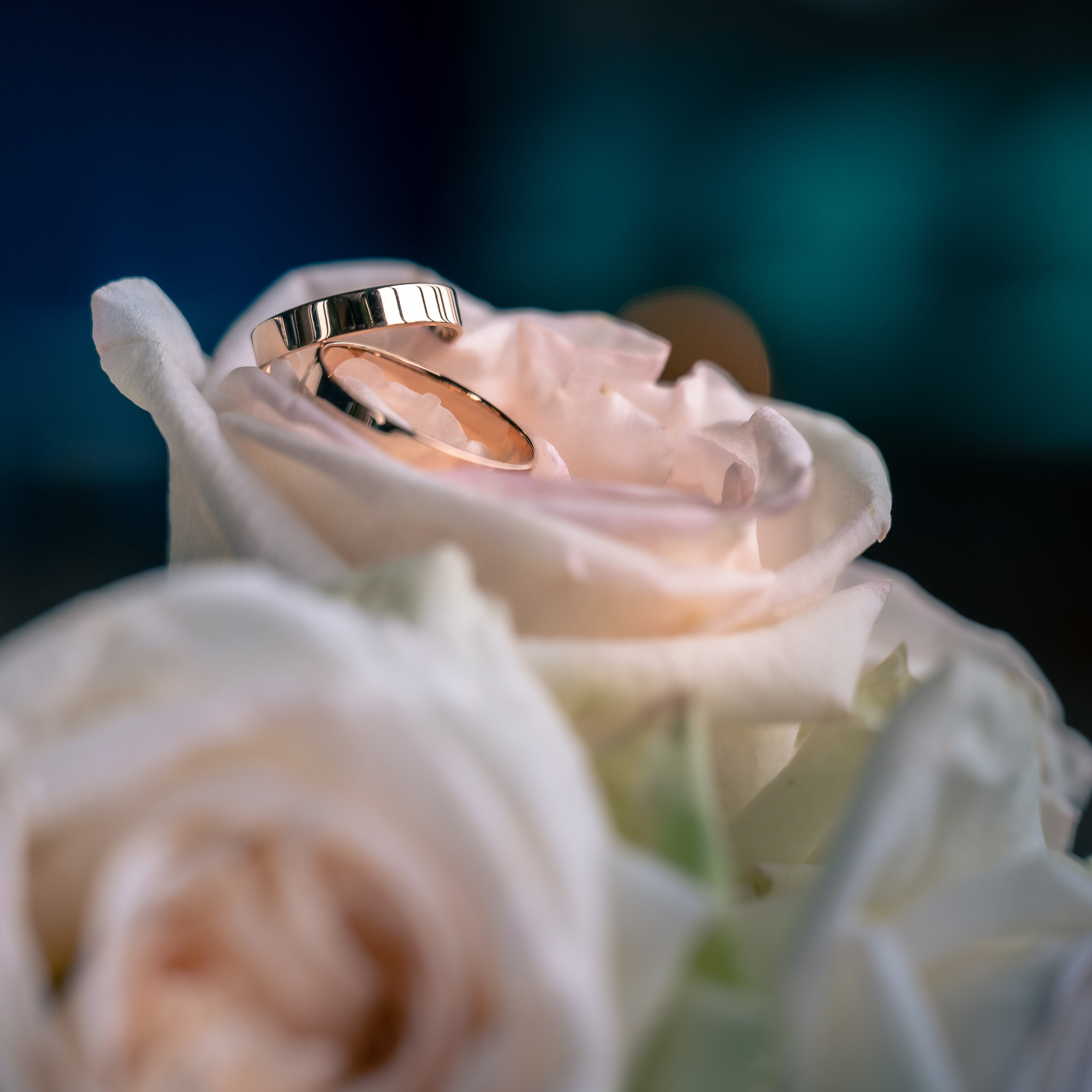 Мария и Алексей