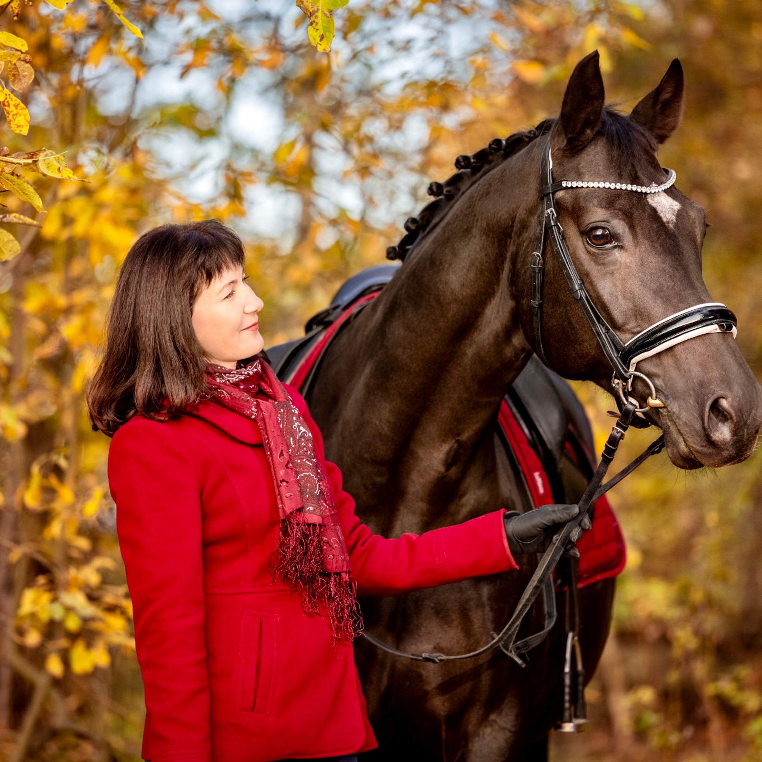 Конные фотосессии
