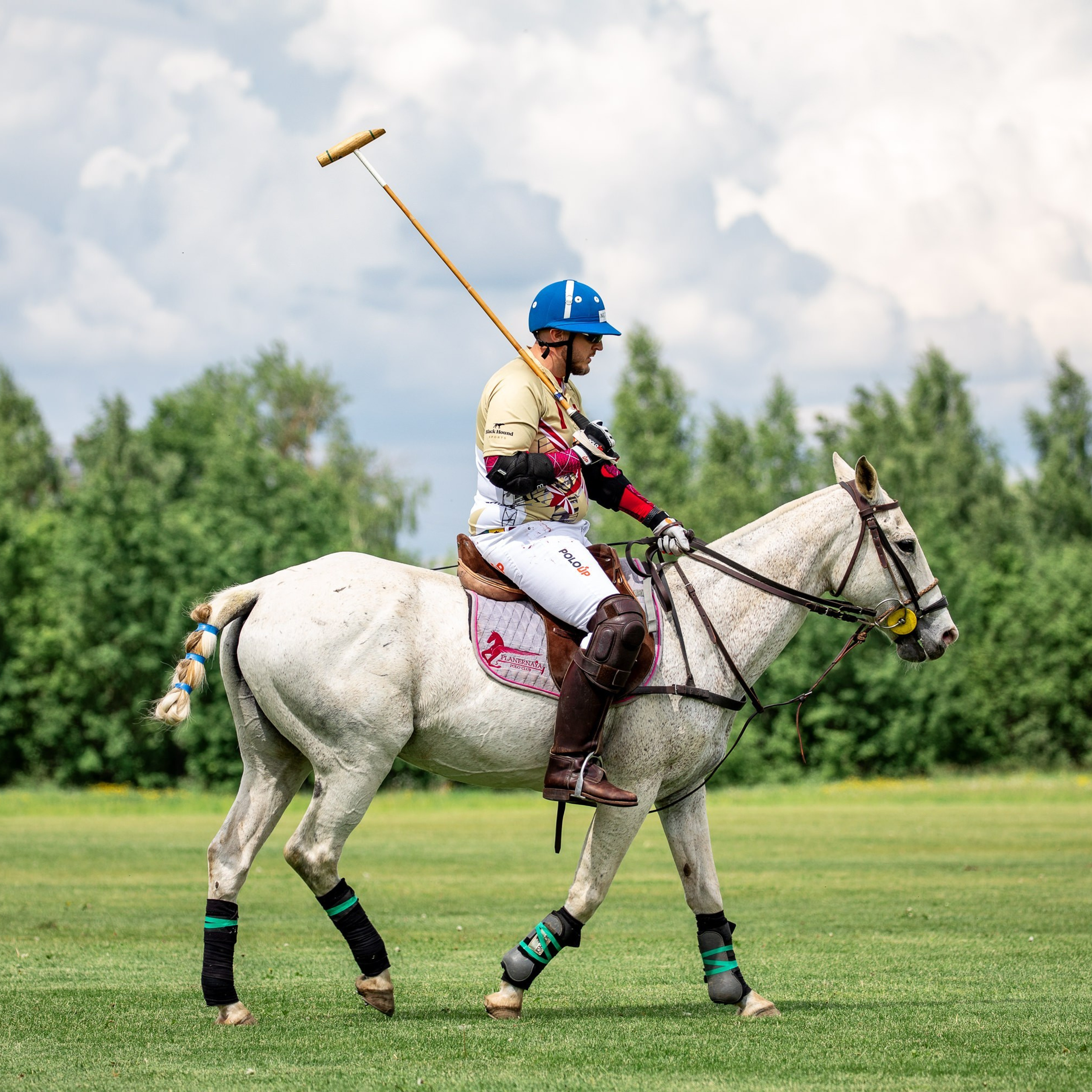 Конное поло