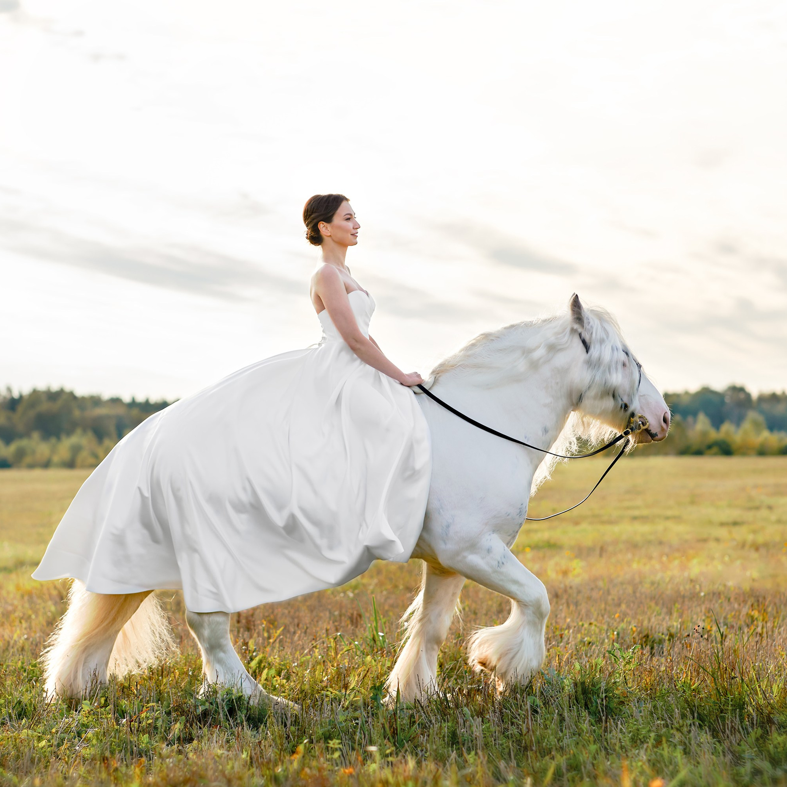 Съёмка с лошадьми (постановочные, художественные, тренировка)