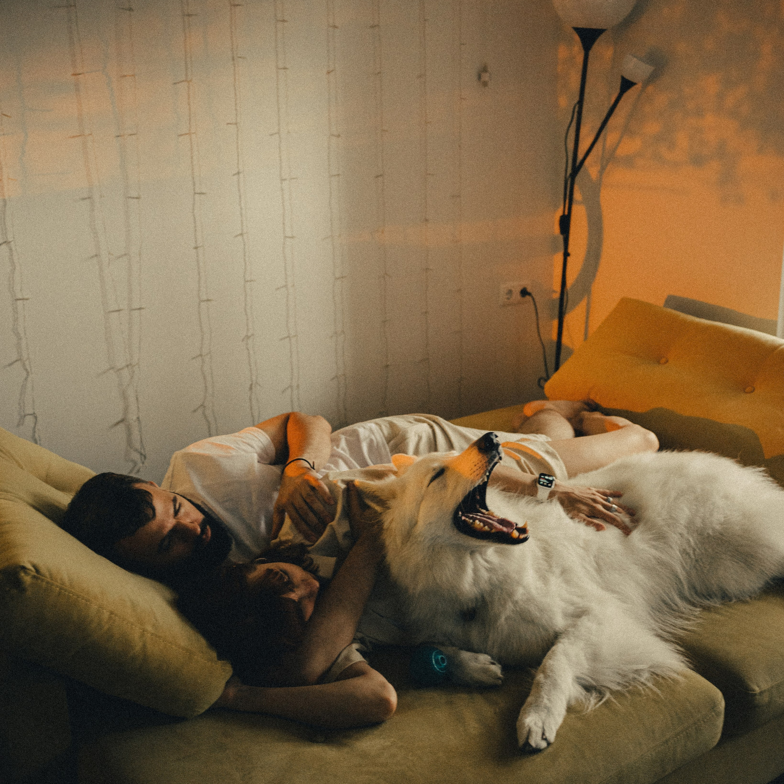 Катя, Костя и Джек