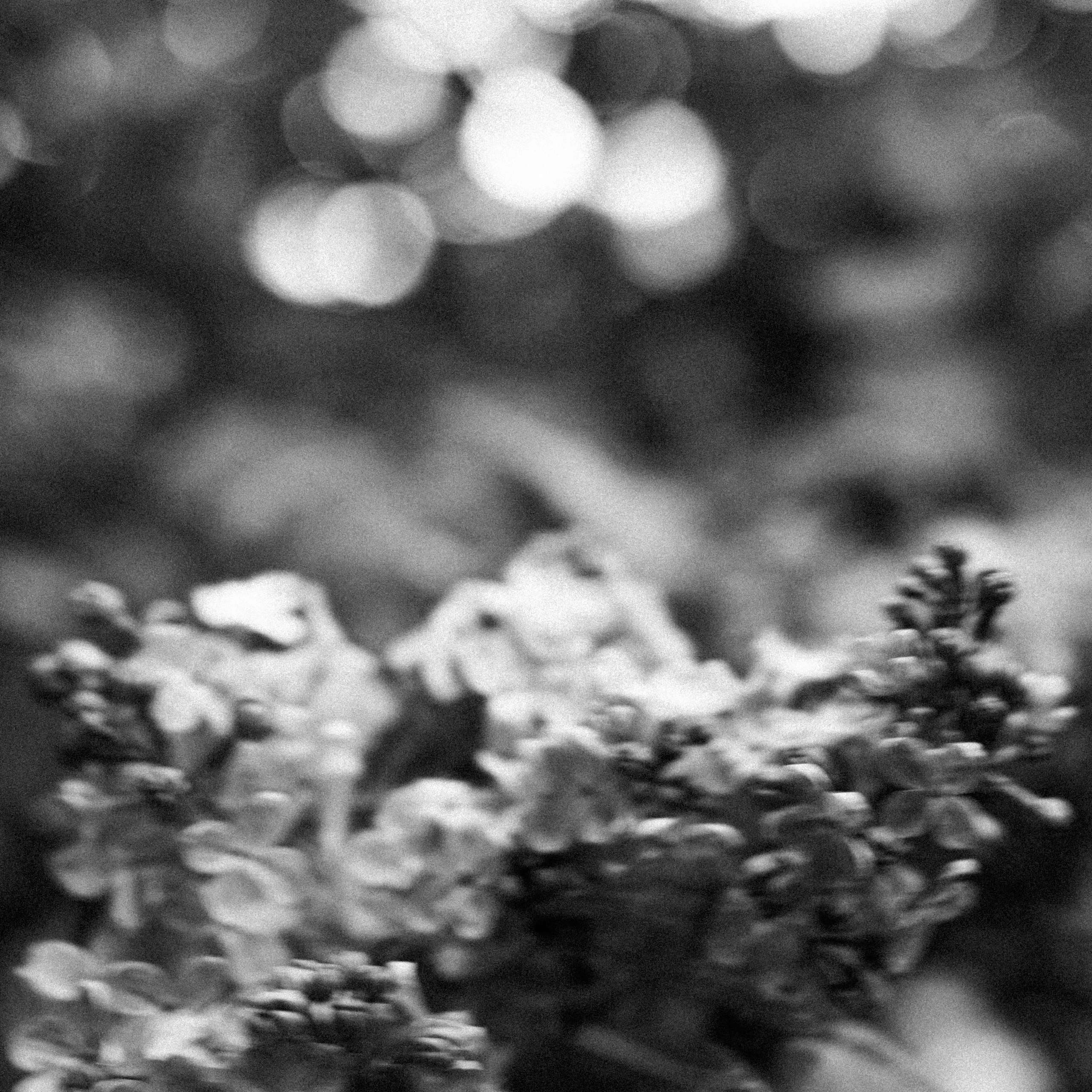 Рита | цифра. ТФП-фотограф Саша Ханина | Москва