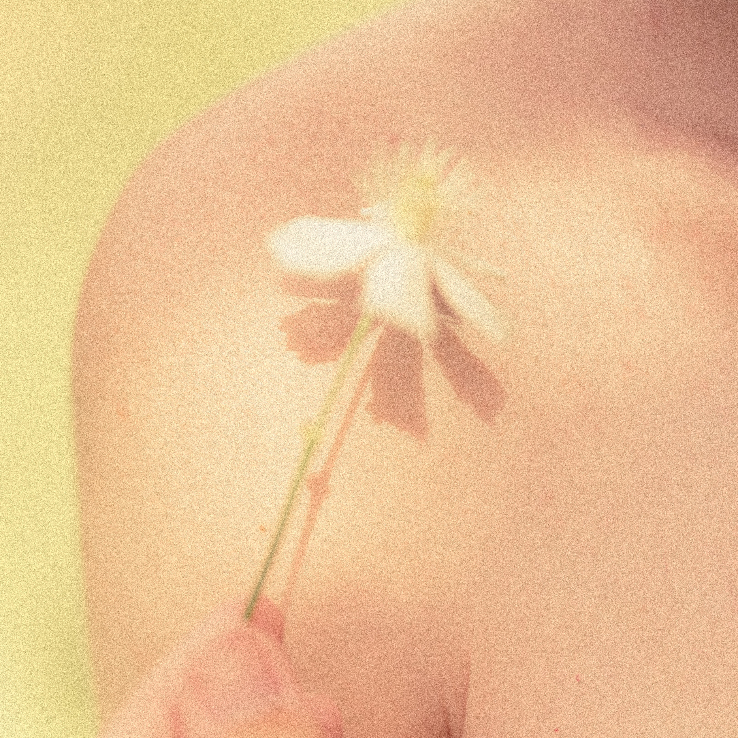 Юля. ТФП-фотограф Саша Ханина | Москва