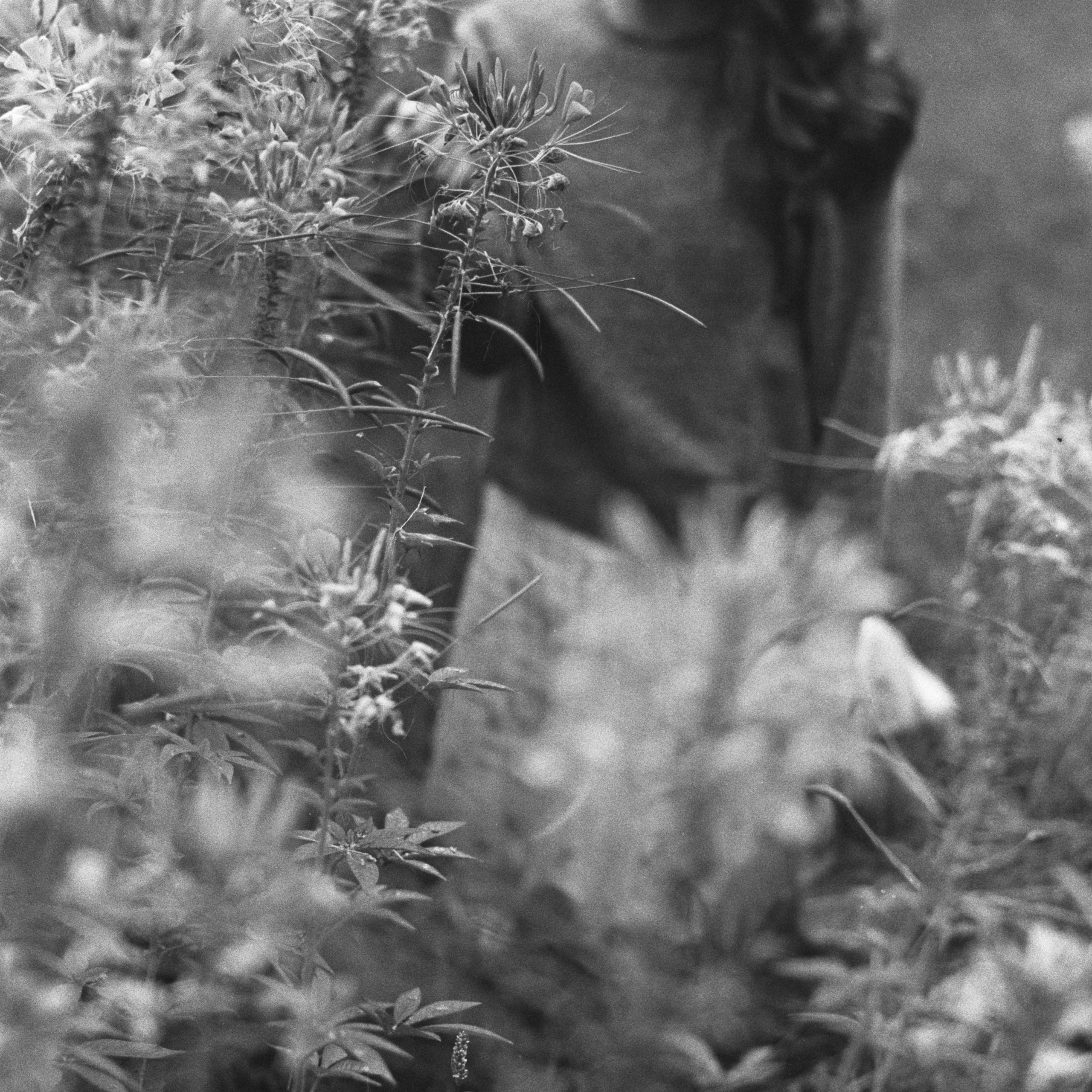 Аня | 35 mm. ТФП-фотограф Саша Ханина | Москва