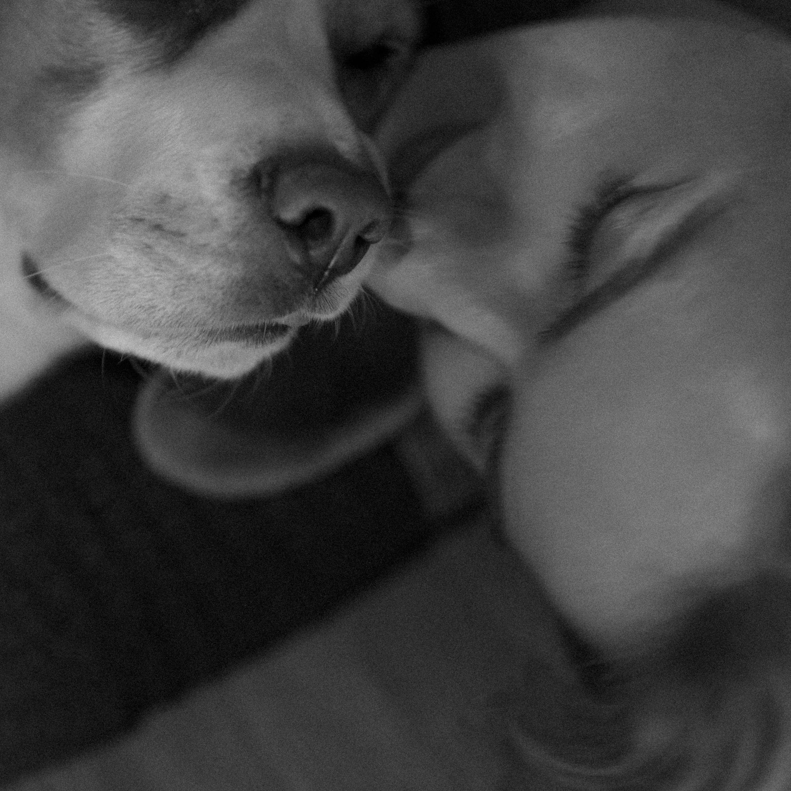 Лера. ТФП-фотограф Саша Ханина | Москва