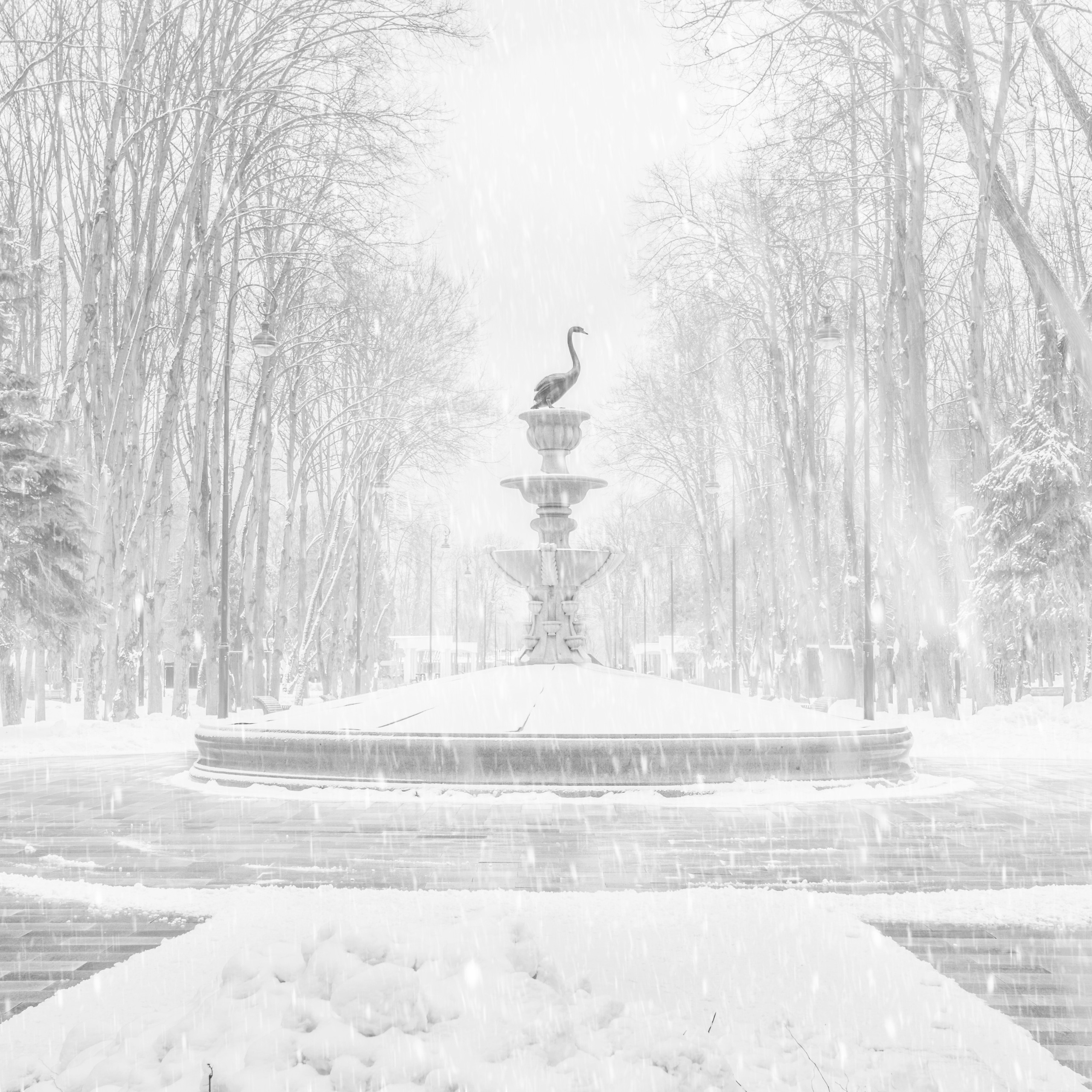 ПРОЕКТ «Метель на Речном»