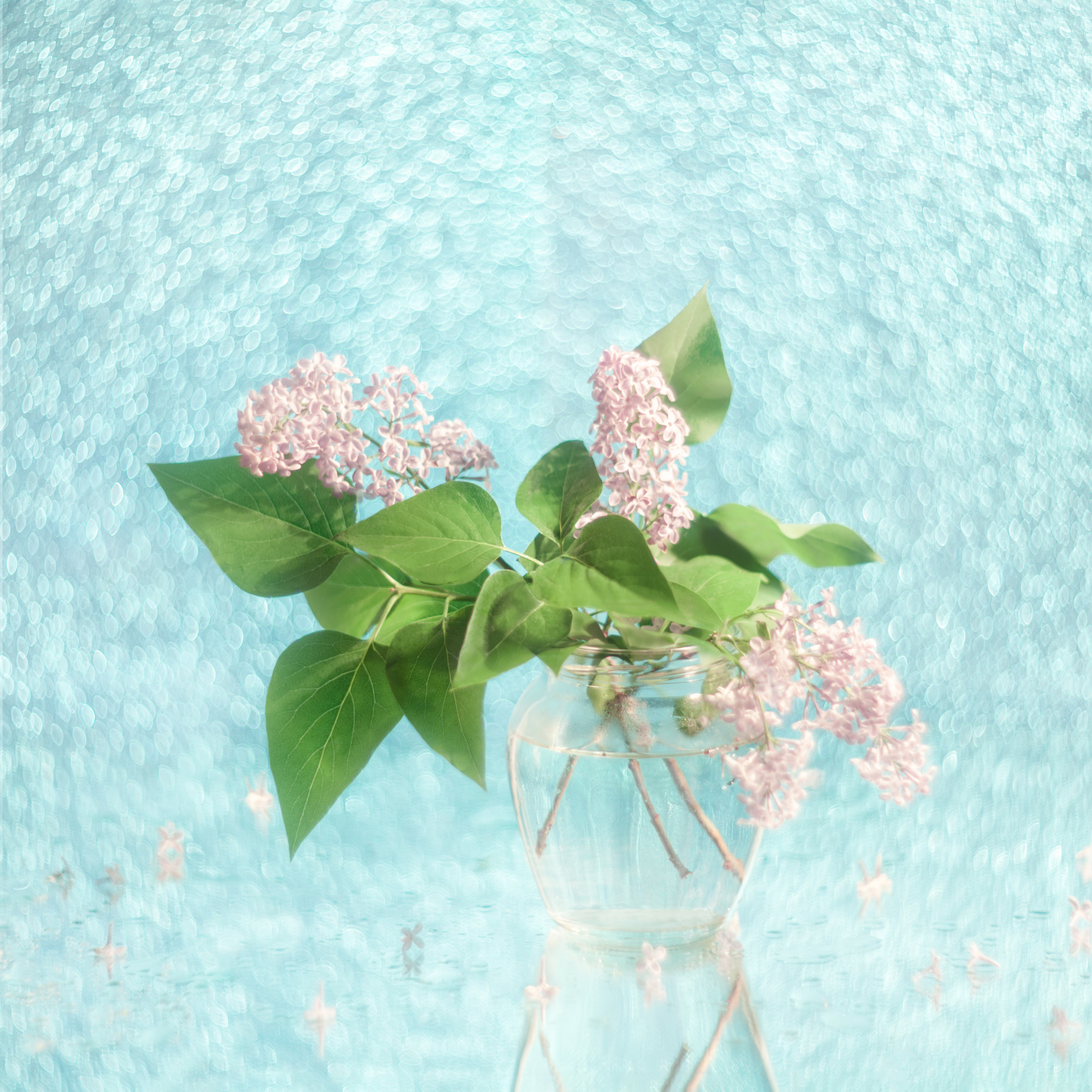 НАТЮРМОРТЫ