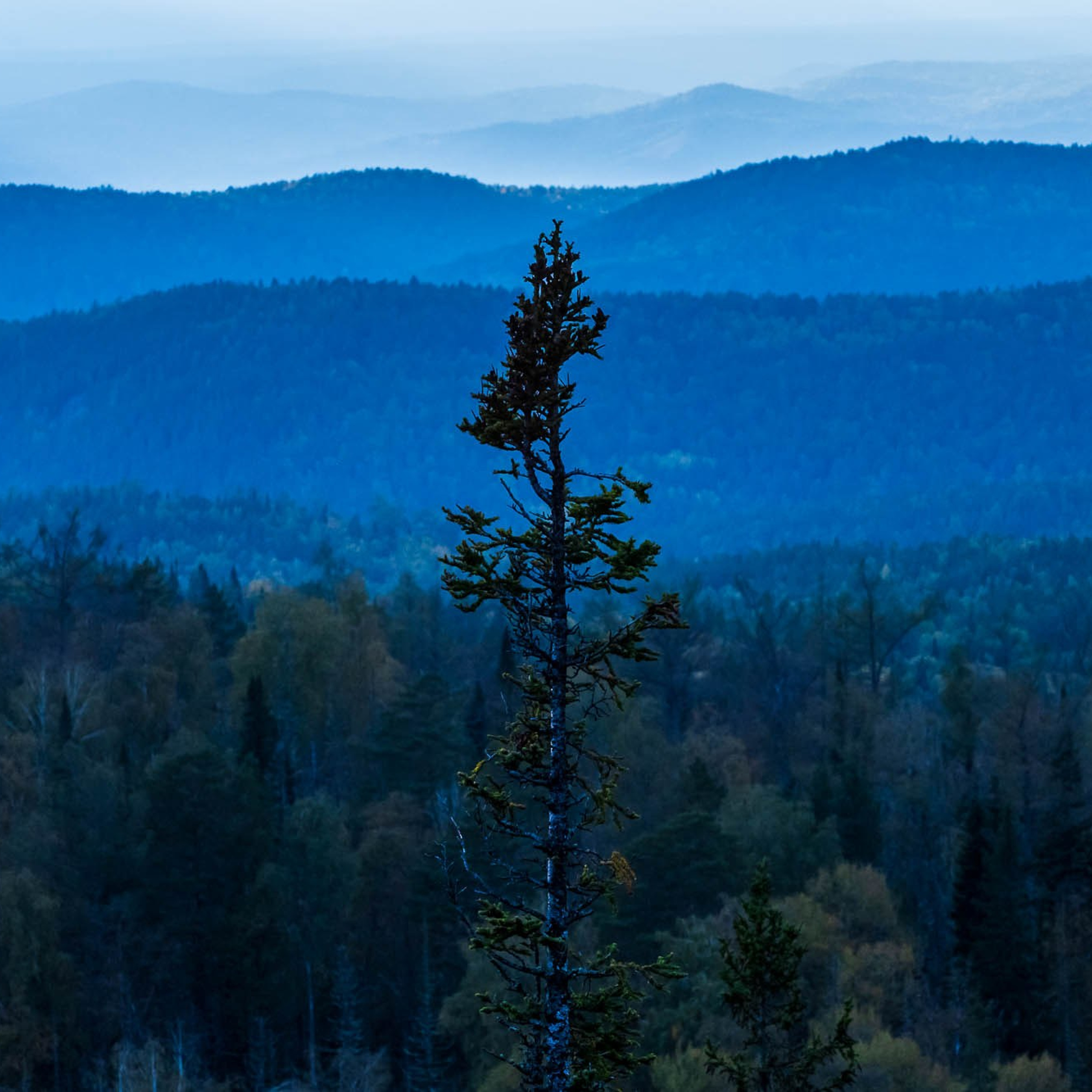 Закатная симфония, воспевающая тайну красоты «Красноярских столбов»