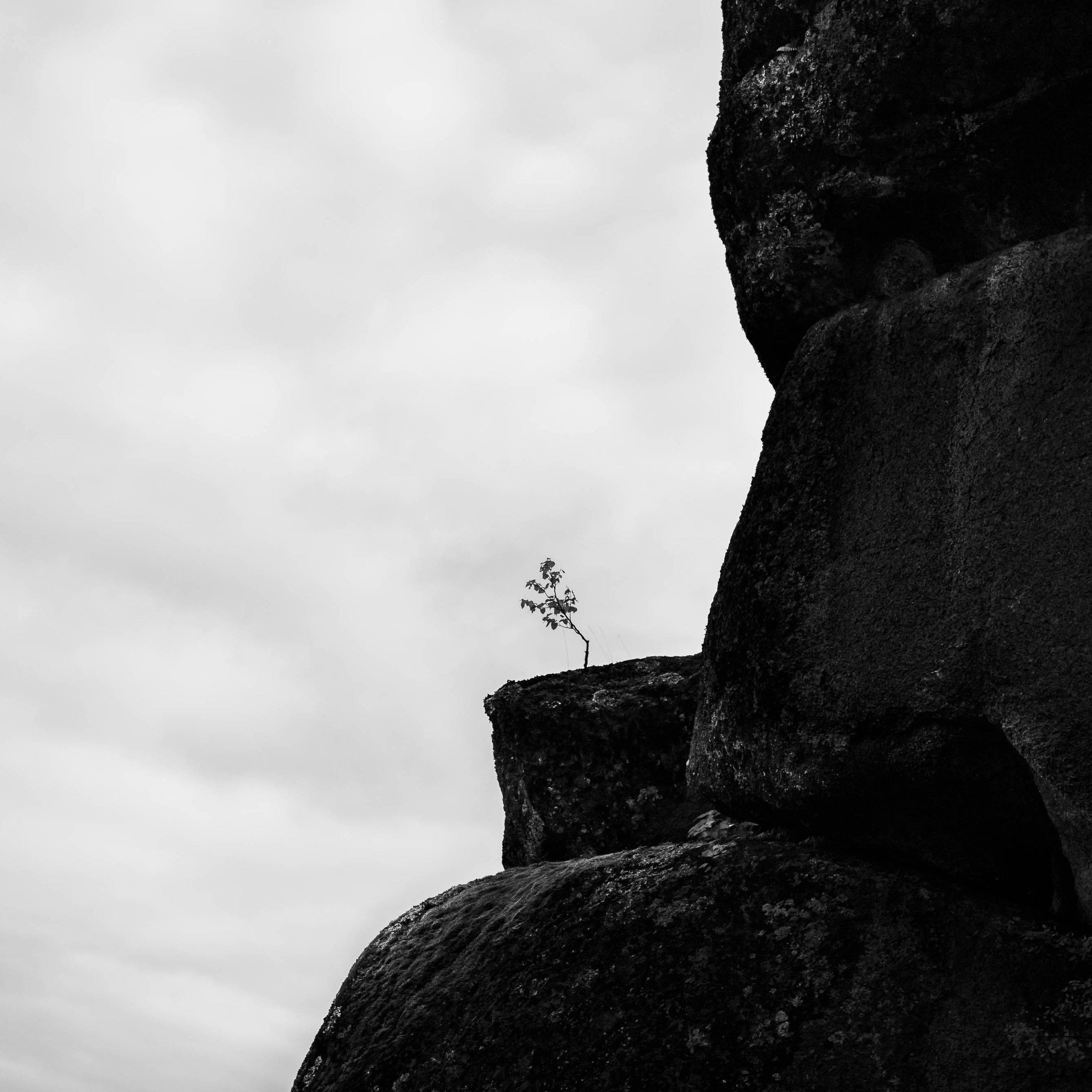 МИНИМАЛИЗМ