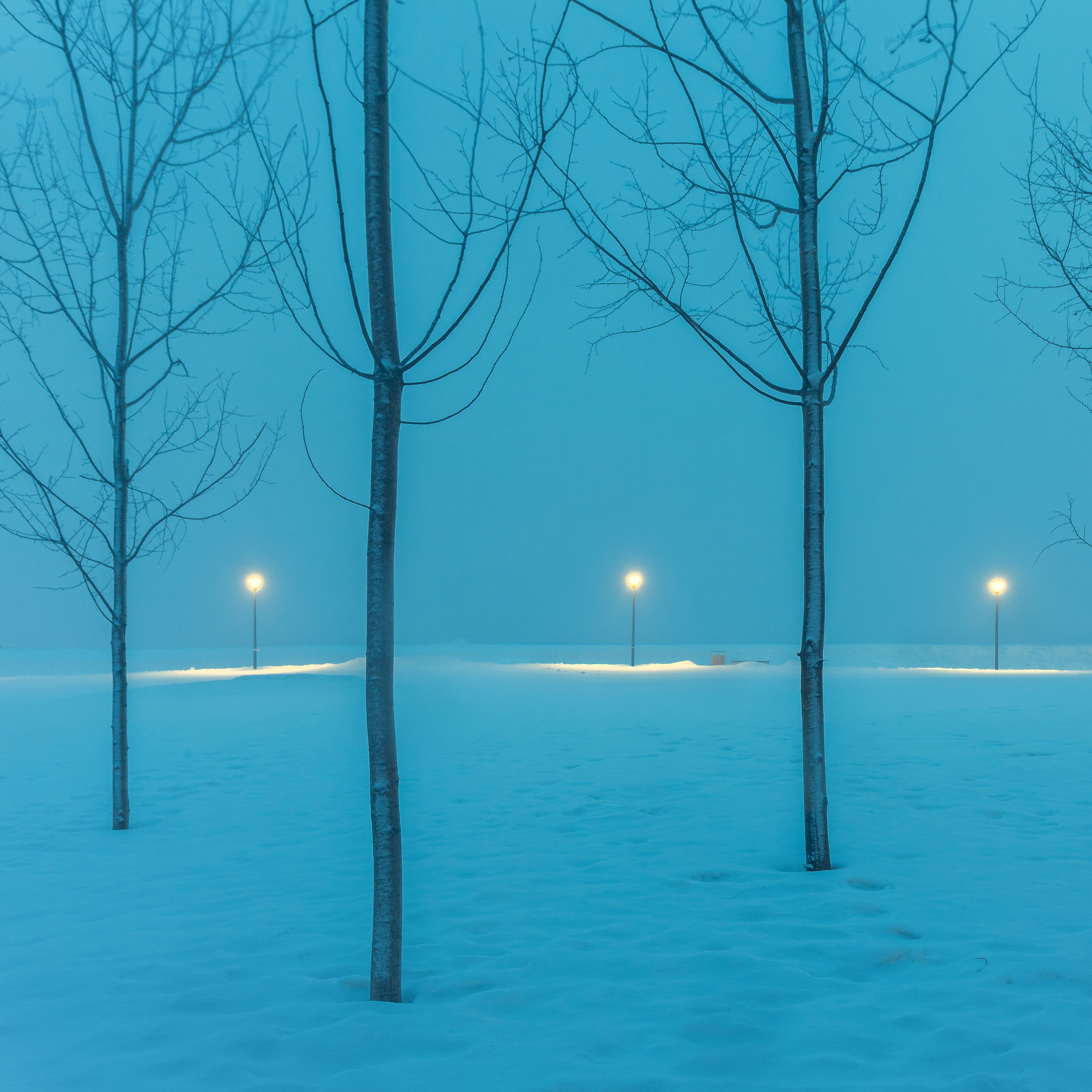 «Тихий вечер в Московском парке»