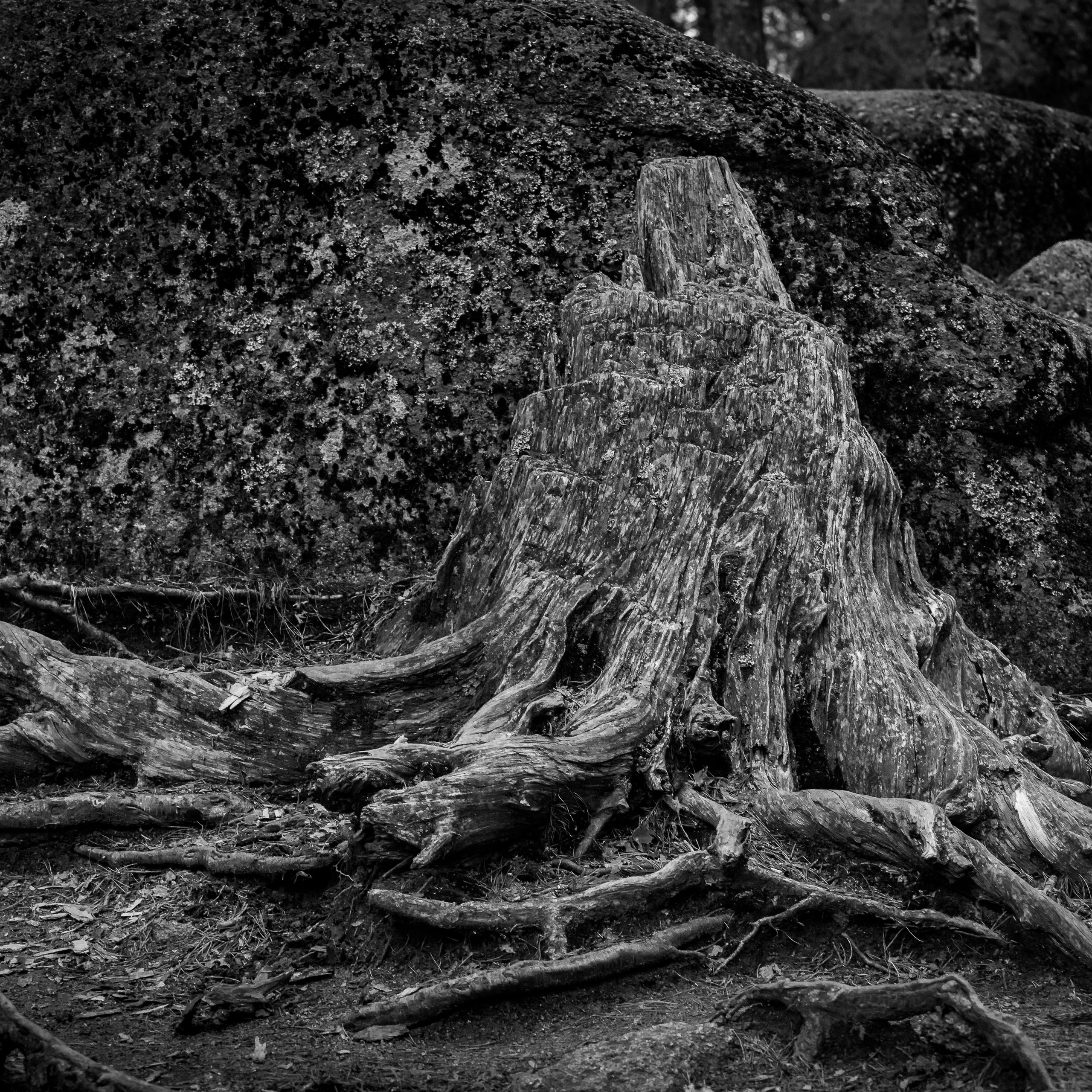 Серия «Архитектура природы: „Красноярские Столбы“»