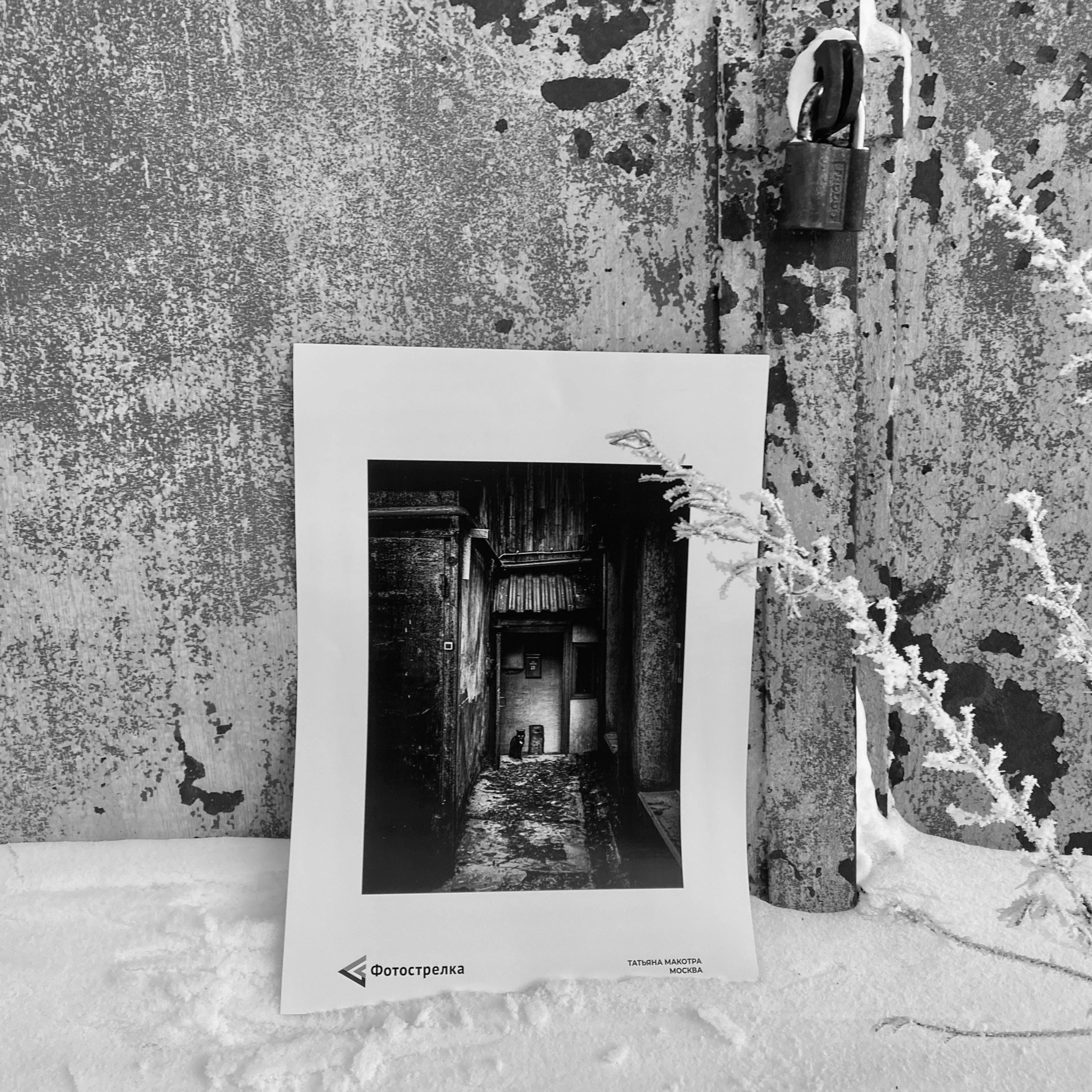 Уличная выставка-перфоманс в Воркуте 2025