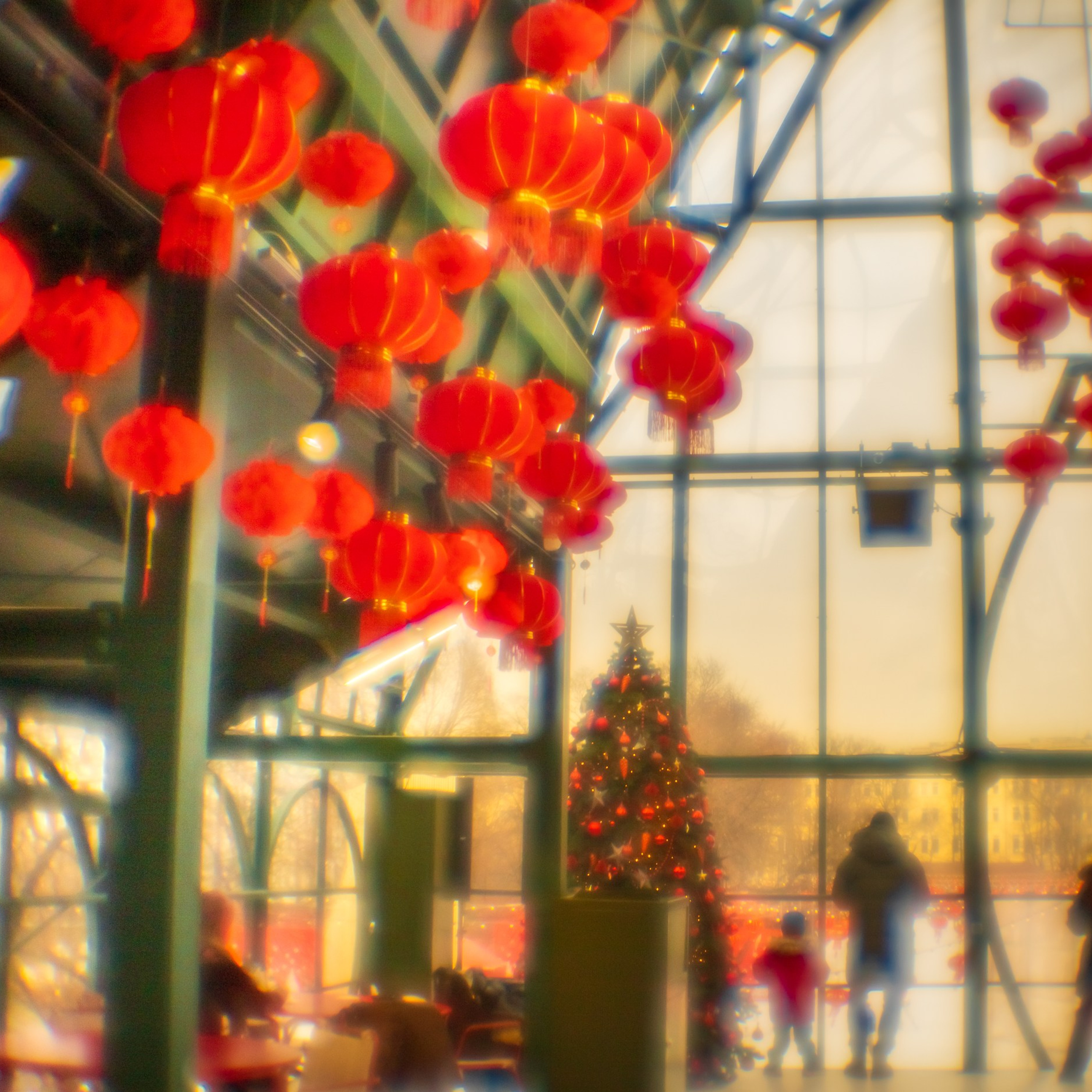 Выставка в Дарвиновском музее «О Китае, далёком и близком» 29/01/26 — 22/03/26