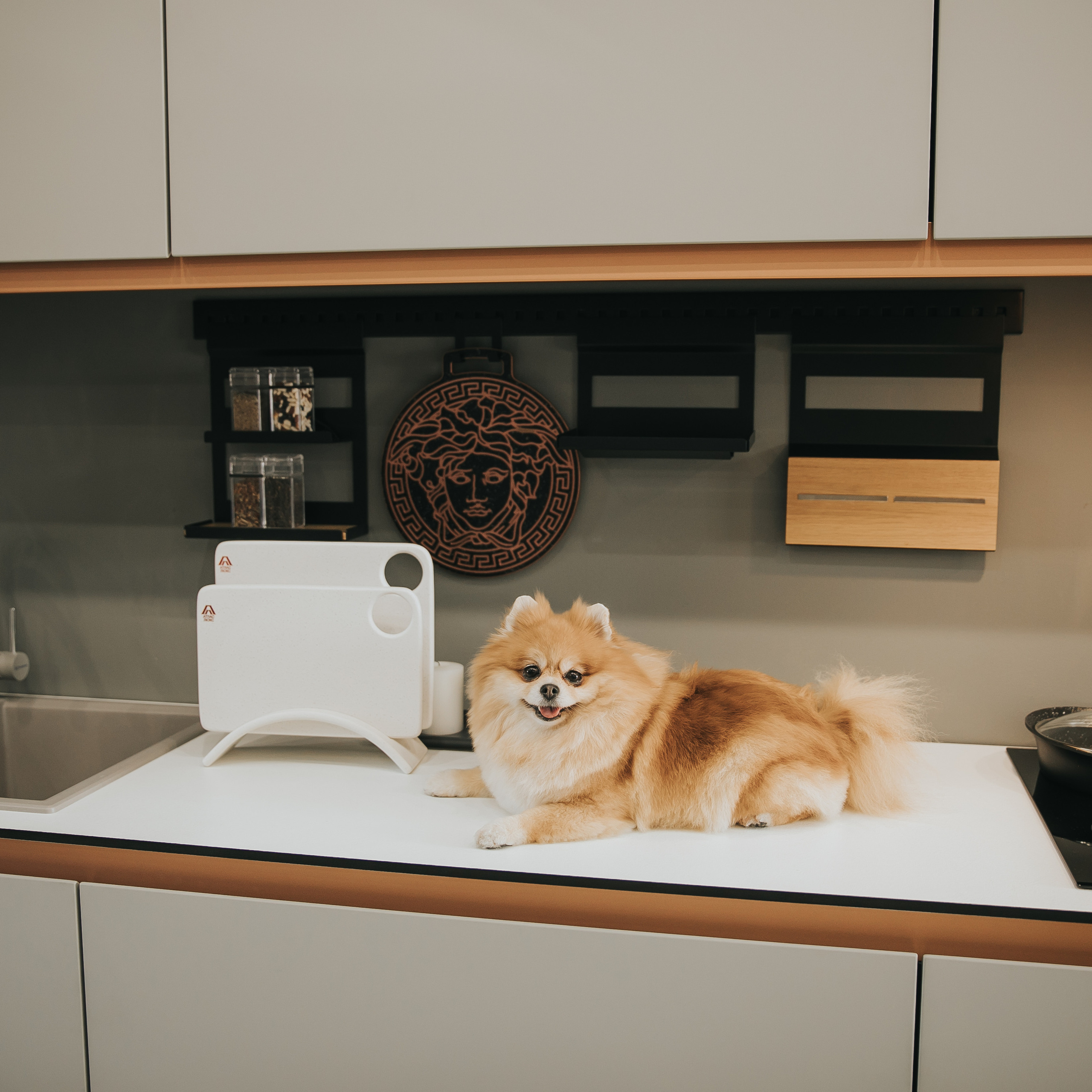 Feedback. Фотограф в на Пхукете Сергей Войлоков