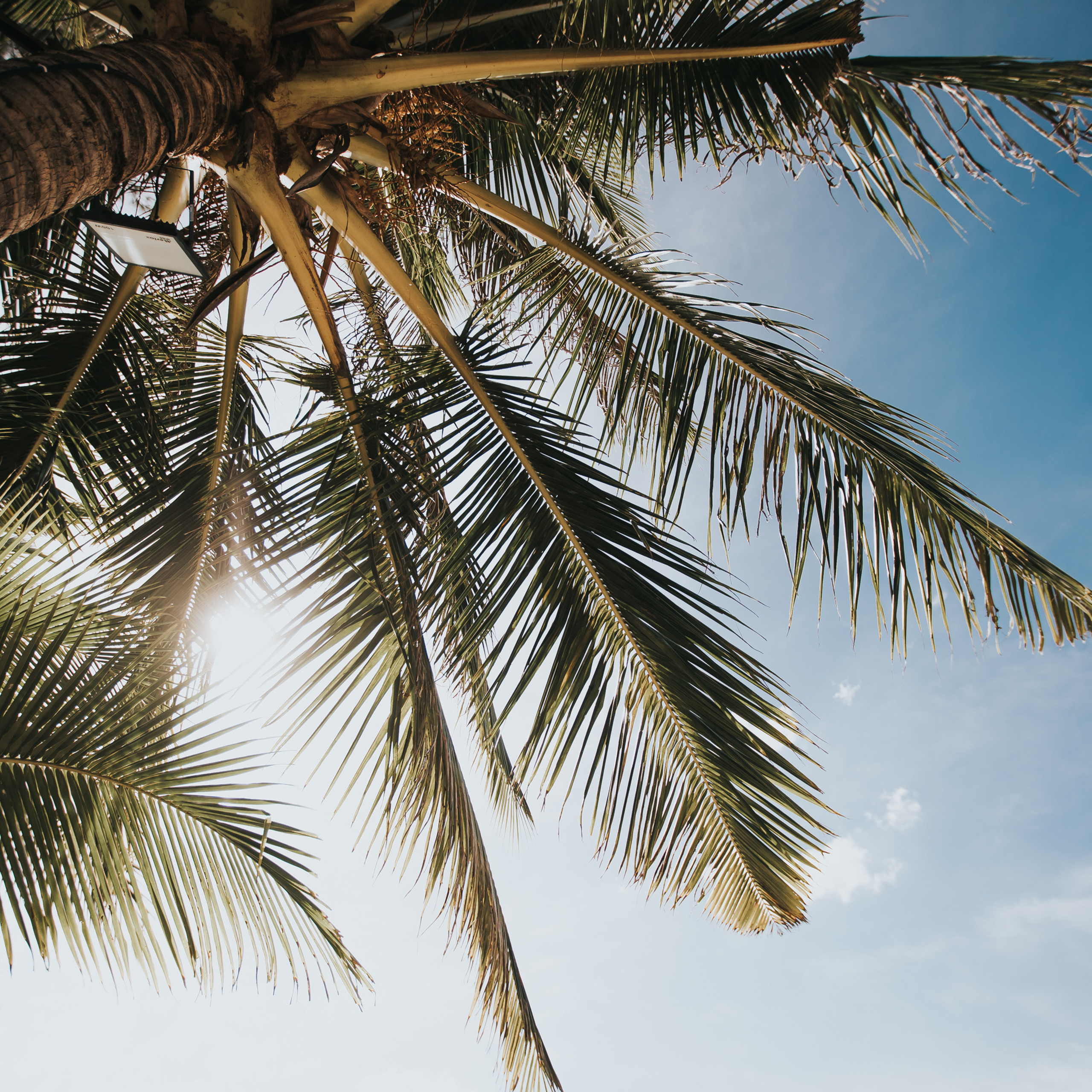 Feedback. Фотограф в на Пхукете Сергей Войлоков