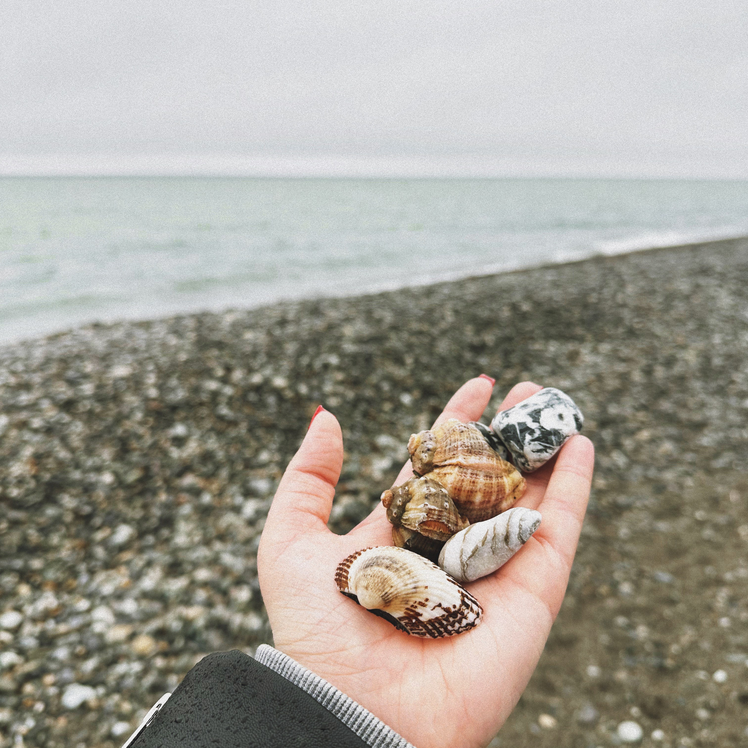 Контакты. SoulCam| Мария Антонова